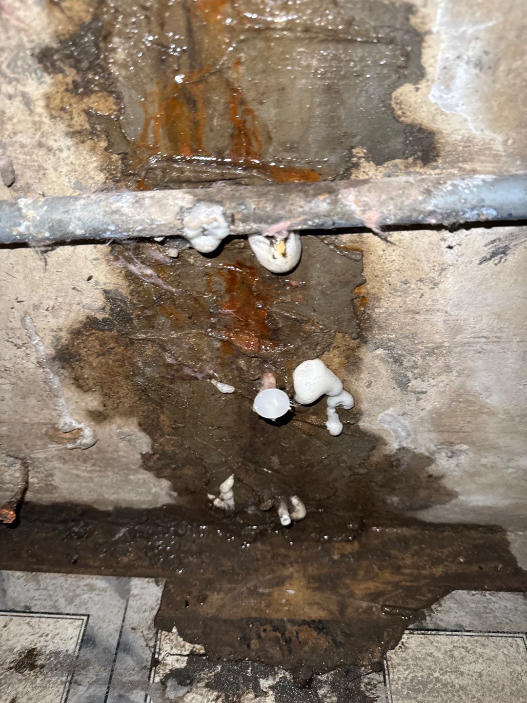 Mold Remediation Project by Chicagoland Water Medics