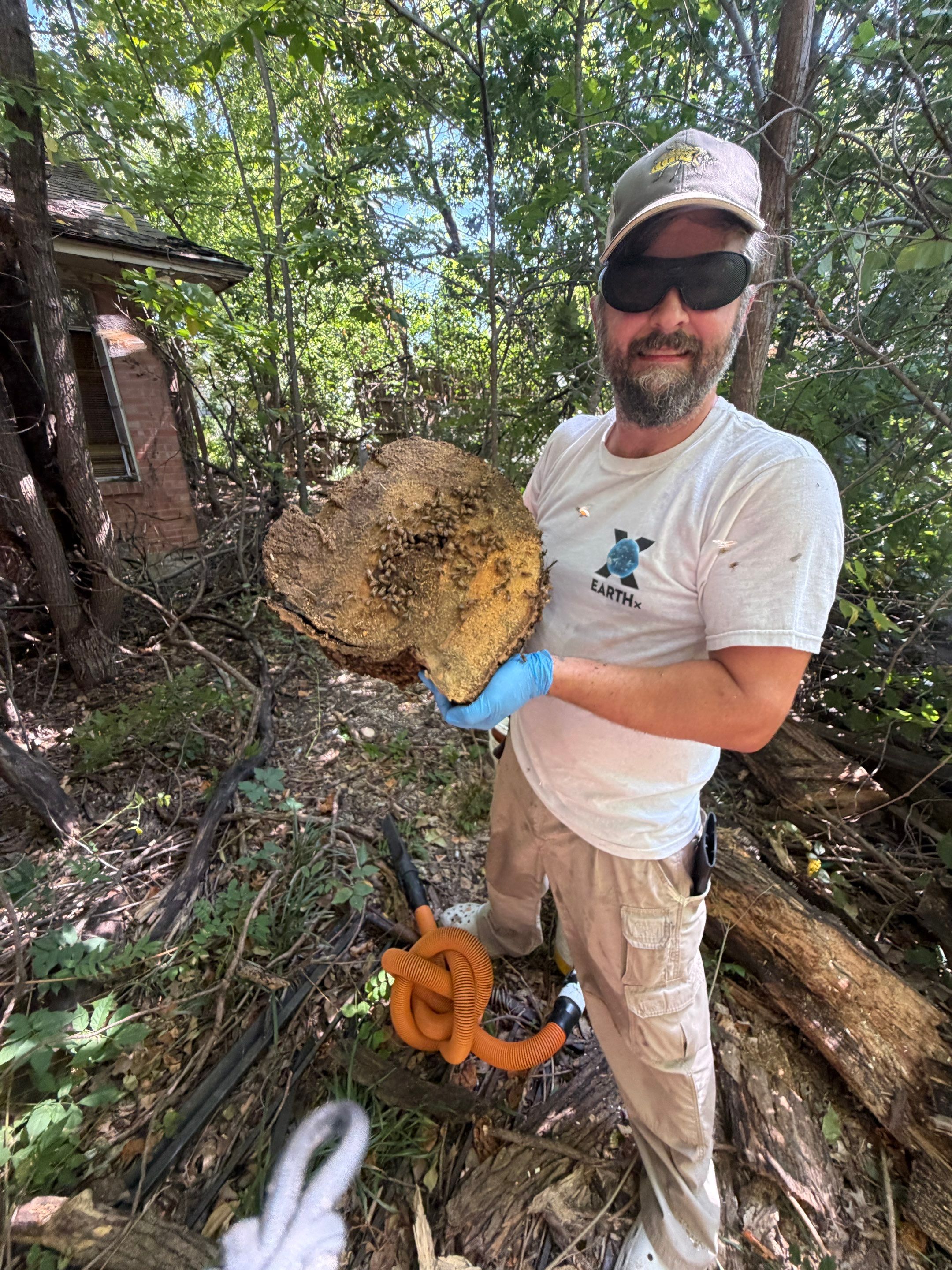 Warranted Removal by Rockwall Honey Bee Company