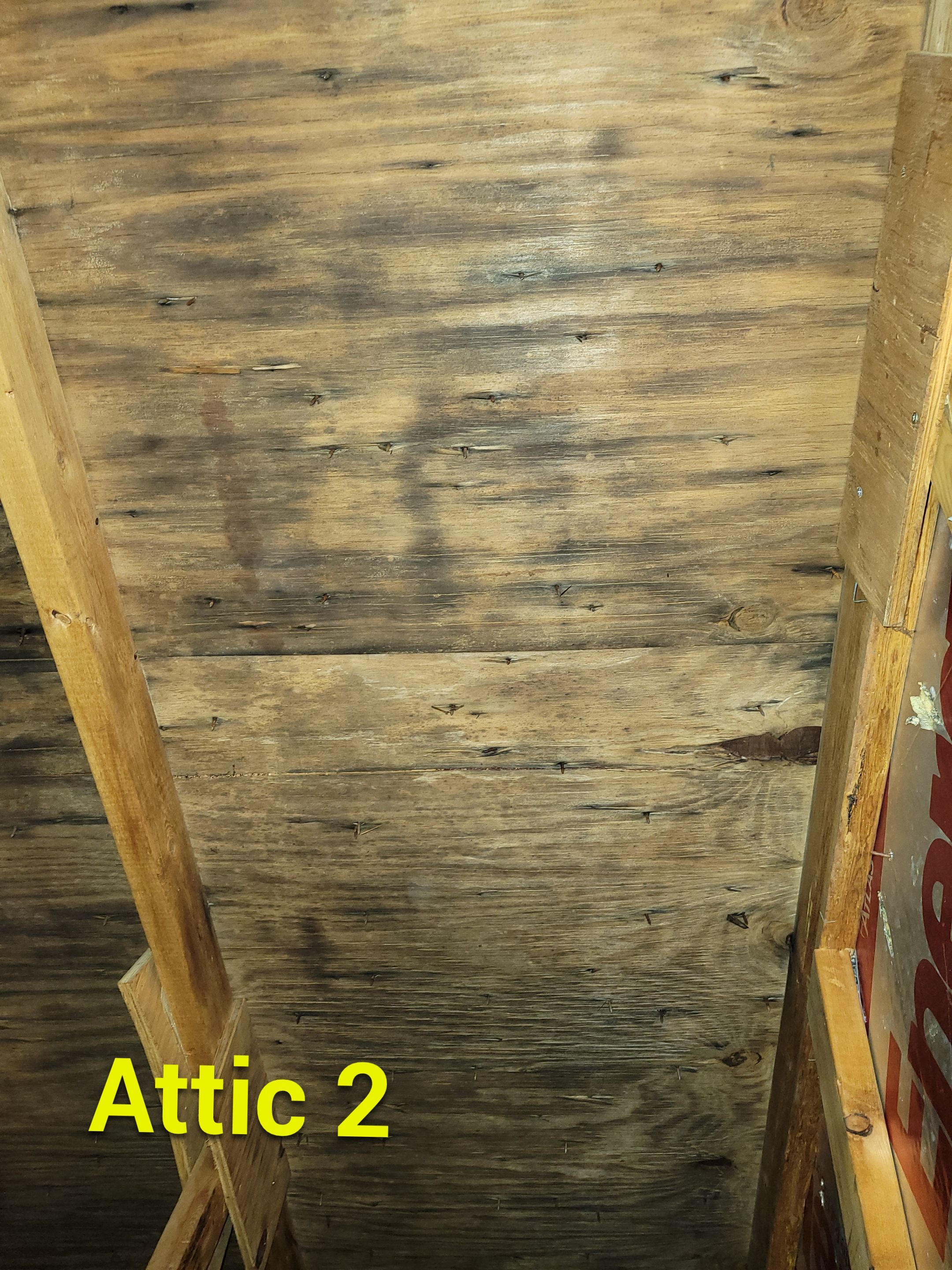 Attic Mold Remediation by Chicagoland Water Medics