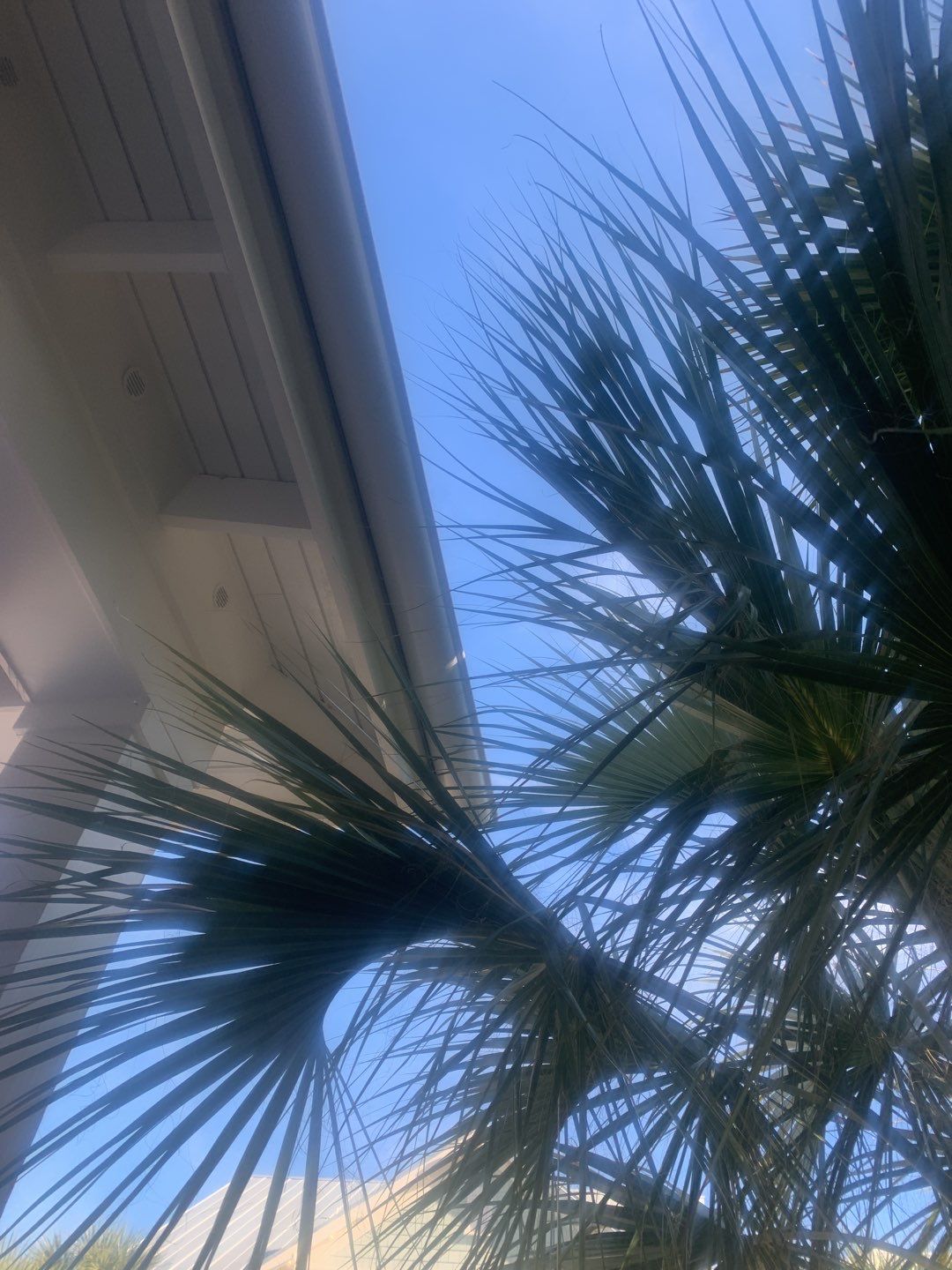 White Half-Round Gutters Installation in Rosemary Beach, FL  by Gutter Professors