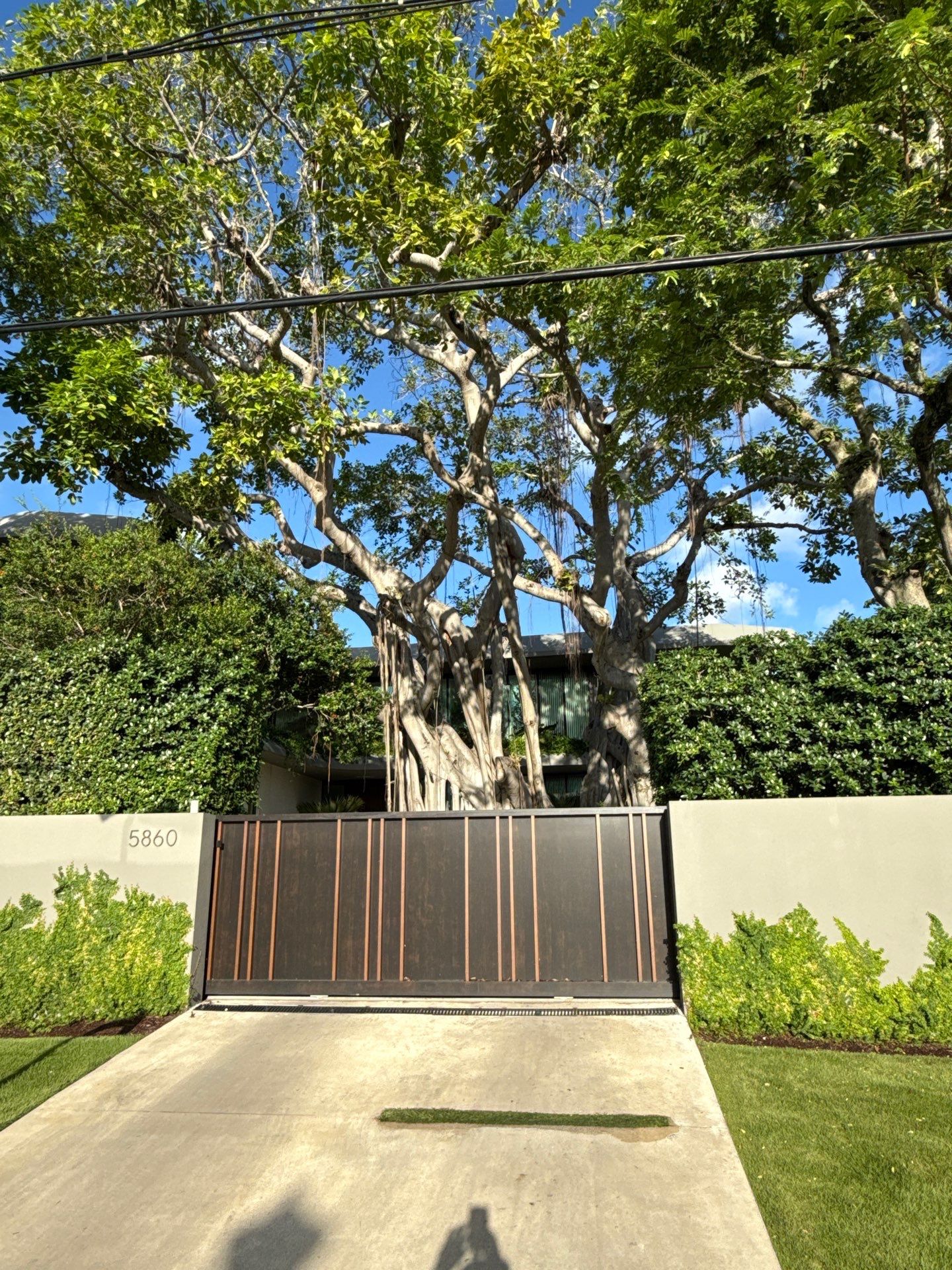 Private Residence Miami Beach by Toledo Iron Works