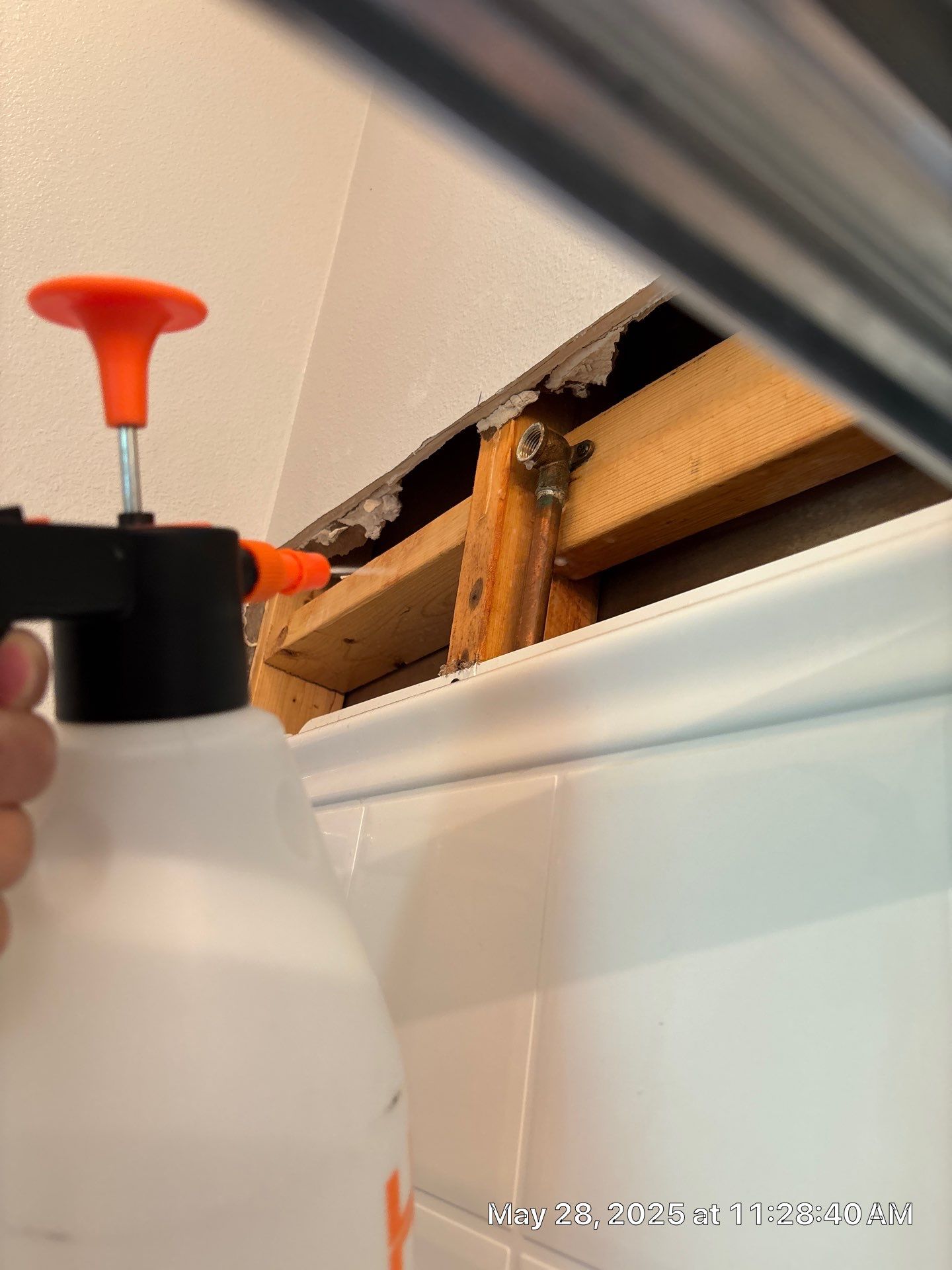 Tampa Mold Removal by Ampm Restoration Services