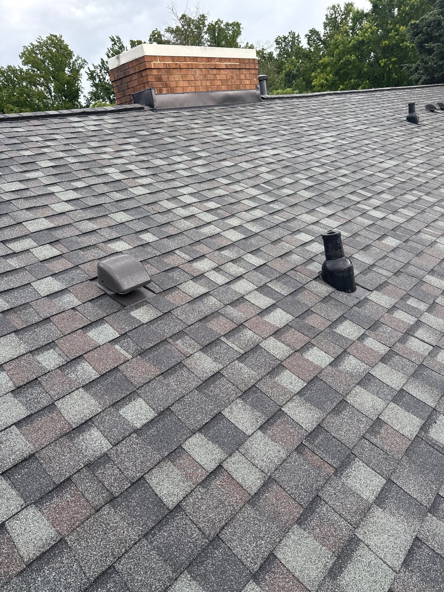 Falls Church: with CertainTeed Landmark Pro in Max Def Colonial Slate  by RM Banning, Inc.