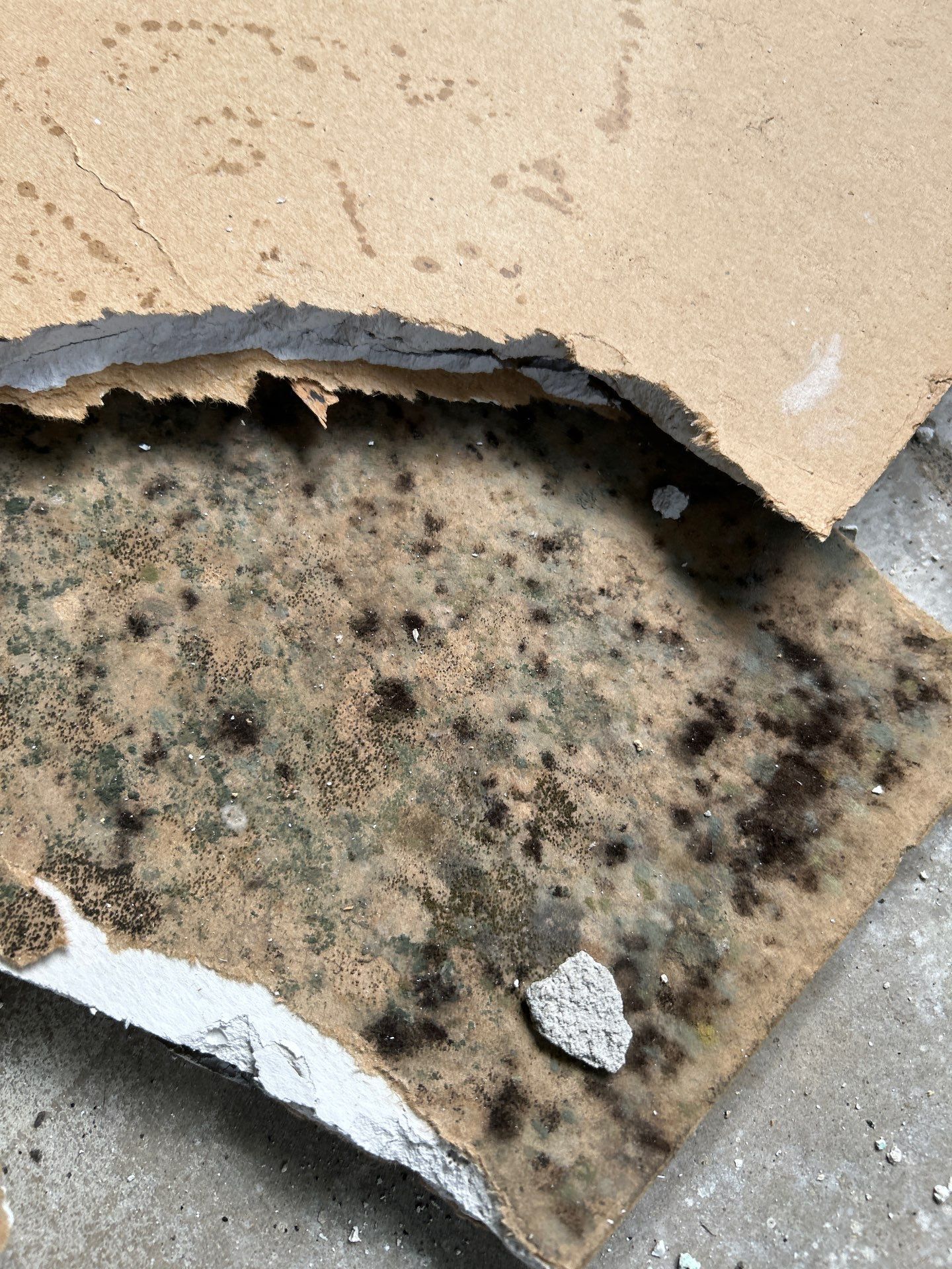 Water Damage Repair In Bradenton, FL by Ampm Restoration Services