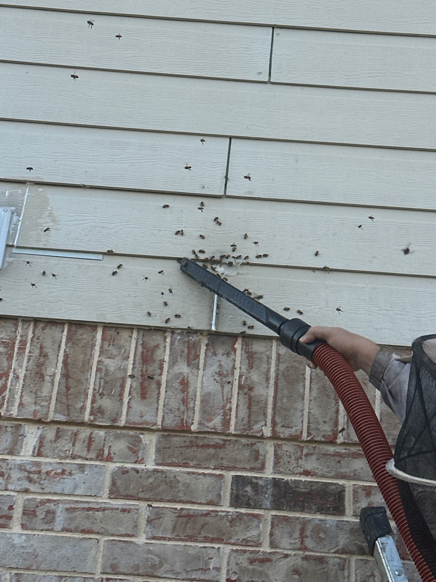 First Spring 2026 by Rockwall Honey Bee Company