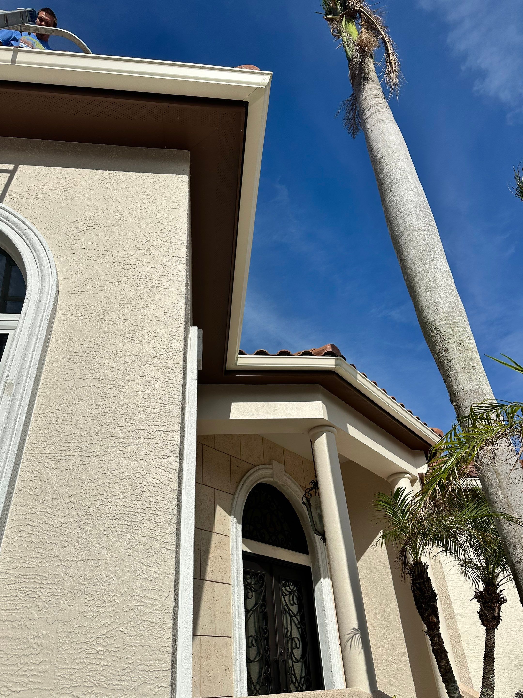 Cameo Finish Gutters for Luxury Homes  by Gutter Professors