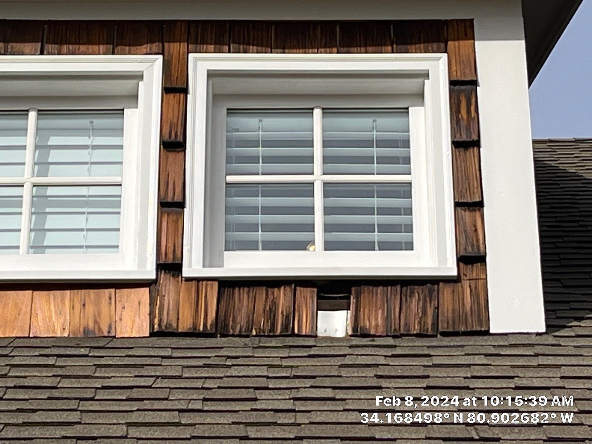 Geaux 2 Guy: Outsmarting Squirrels & Restoring Your Cedar Shingle Haven by Thompson Industrial