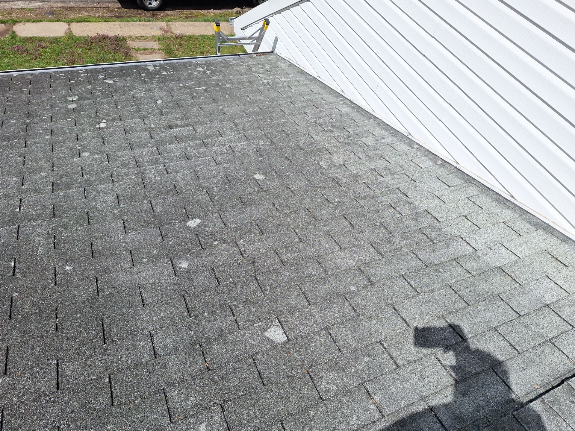 Silver Birch Shingles by Reimagine Roofing