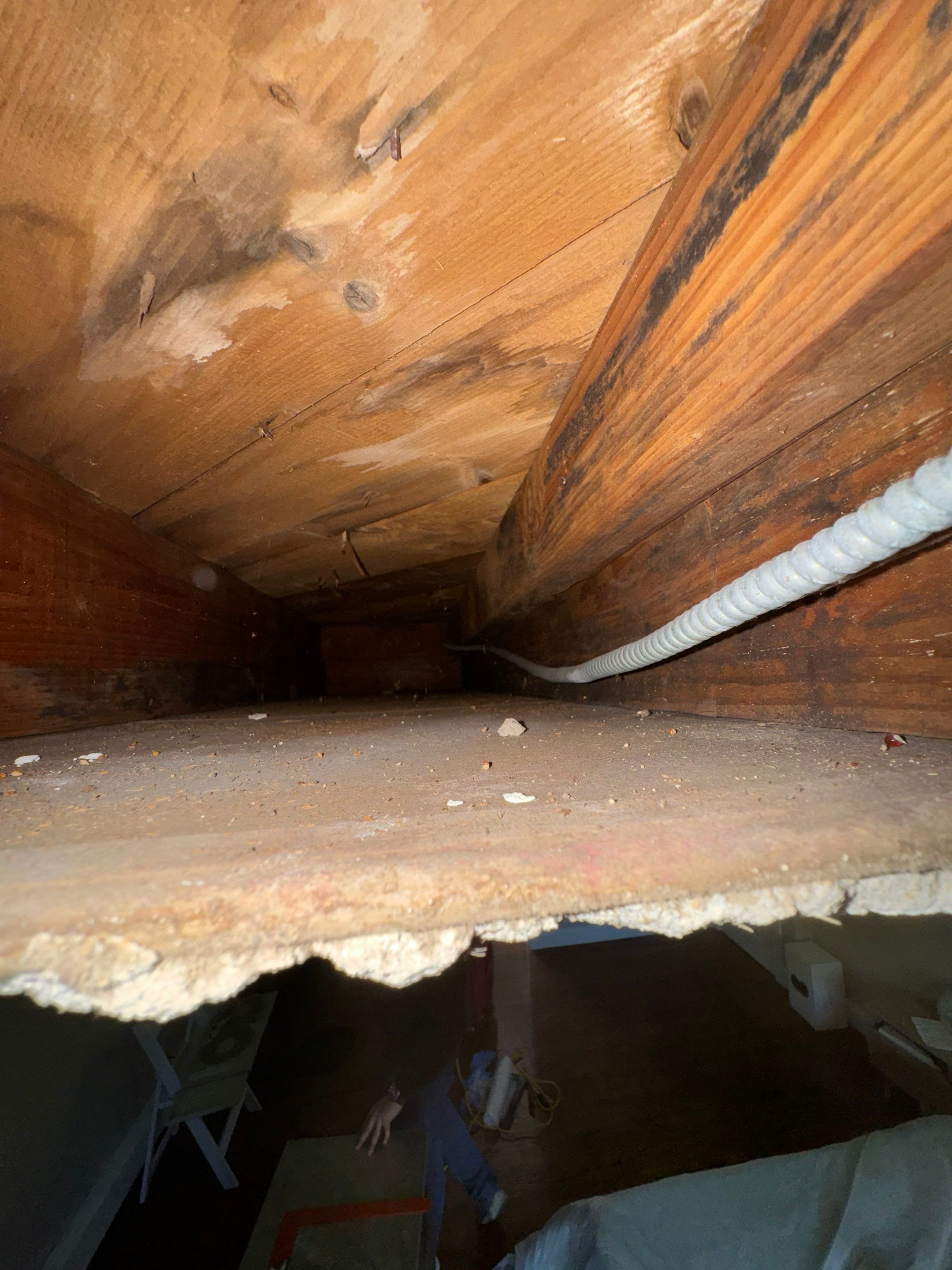 Bedroom Mold Remediation by Home Guarantee, LLC