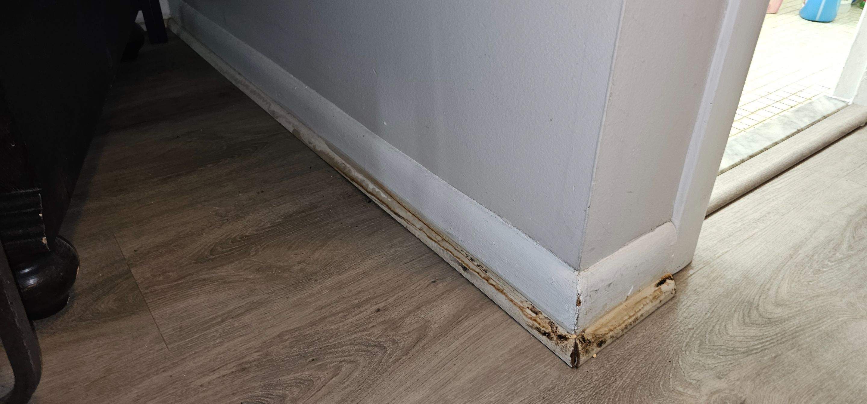Water Damage Claim in Deerfield Beach by FLAPA & KeyStone