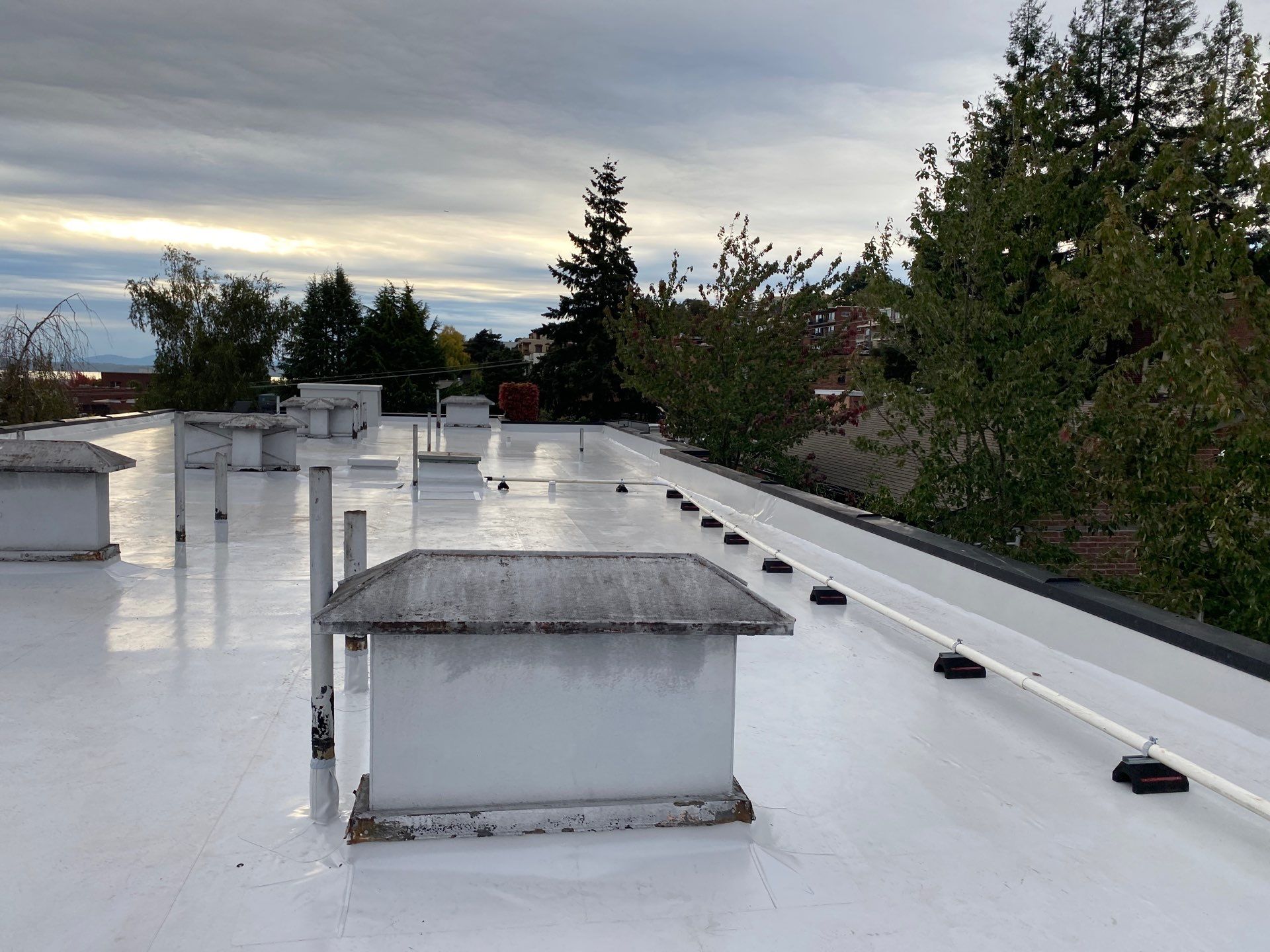 2024 Seattle Multi-Family Overlay by Alternative Roofing Systems Inc. 