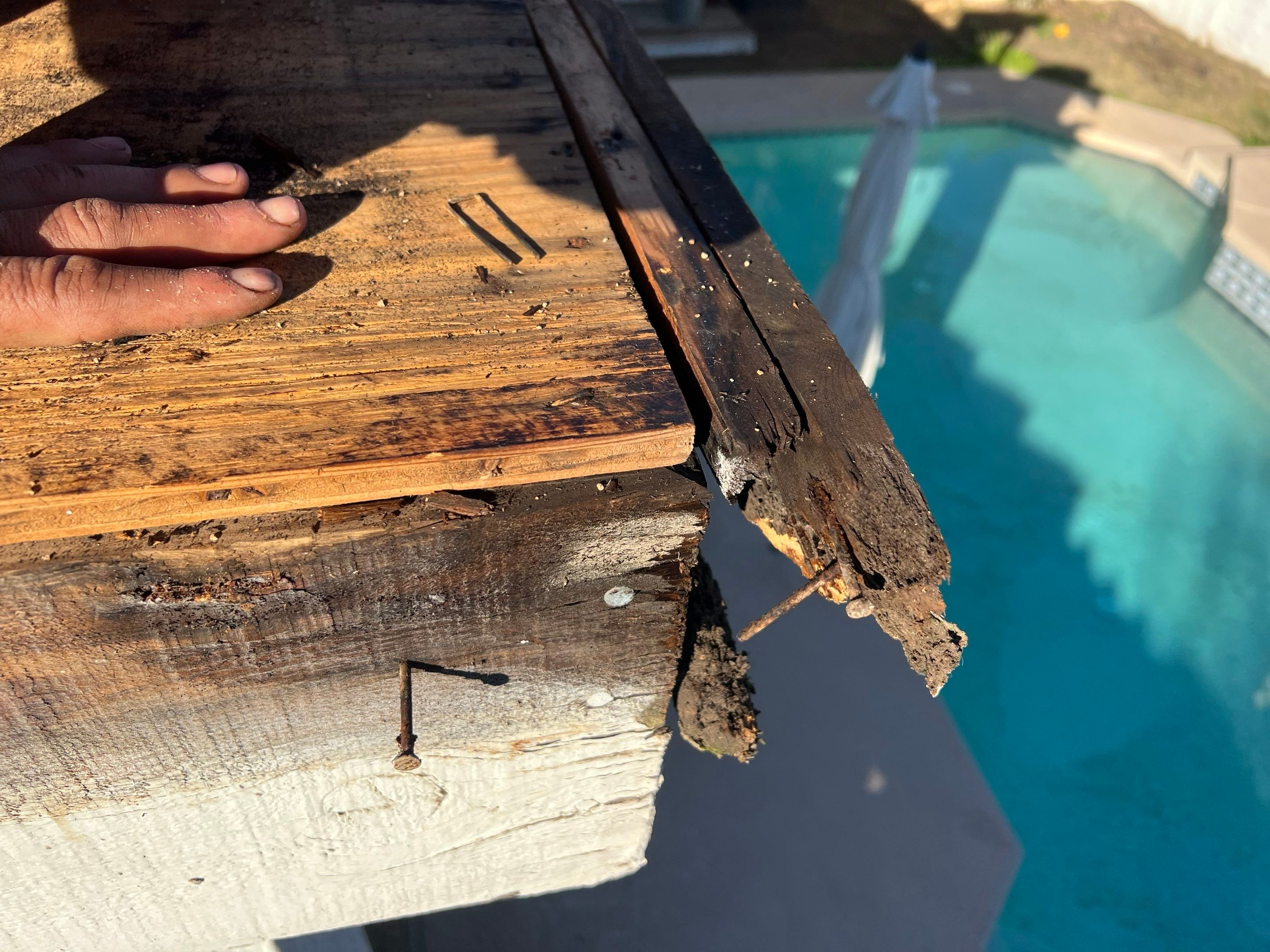 Sergio's Full Re-roof by All Storm Roofing & Construction
