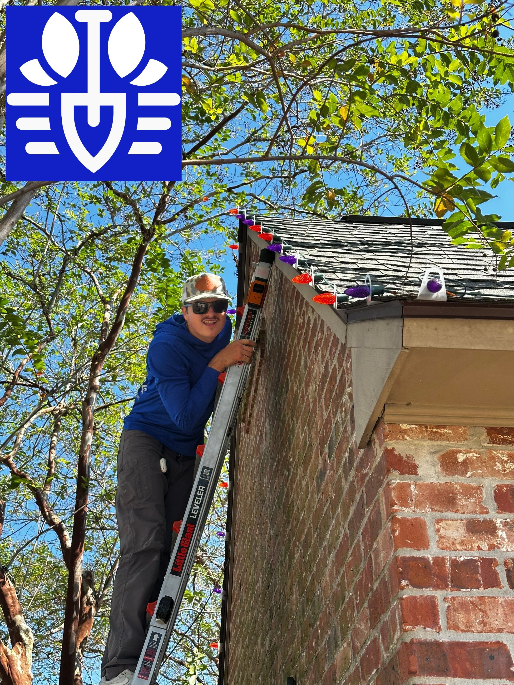 HOLIDAY LIGHTING using ROOFLINE PERIMETER LIGHTING: HALLOWEEN THEME WITH ORANGE AND PURPLE BULBS by CutScape, LLC.