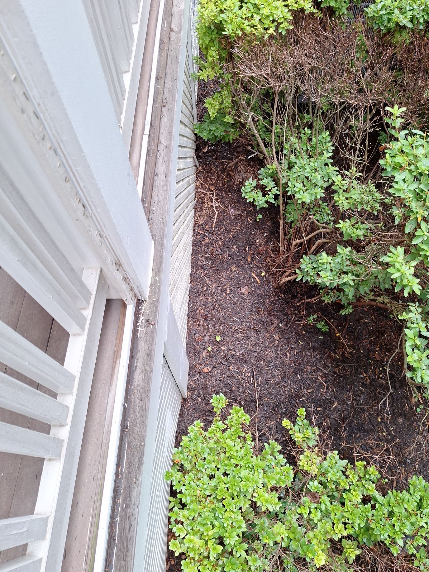 Deck Refinishing Arlington, VA by My Painter 