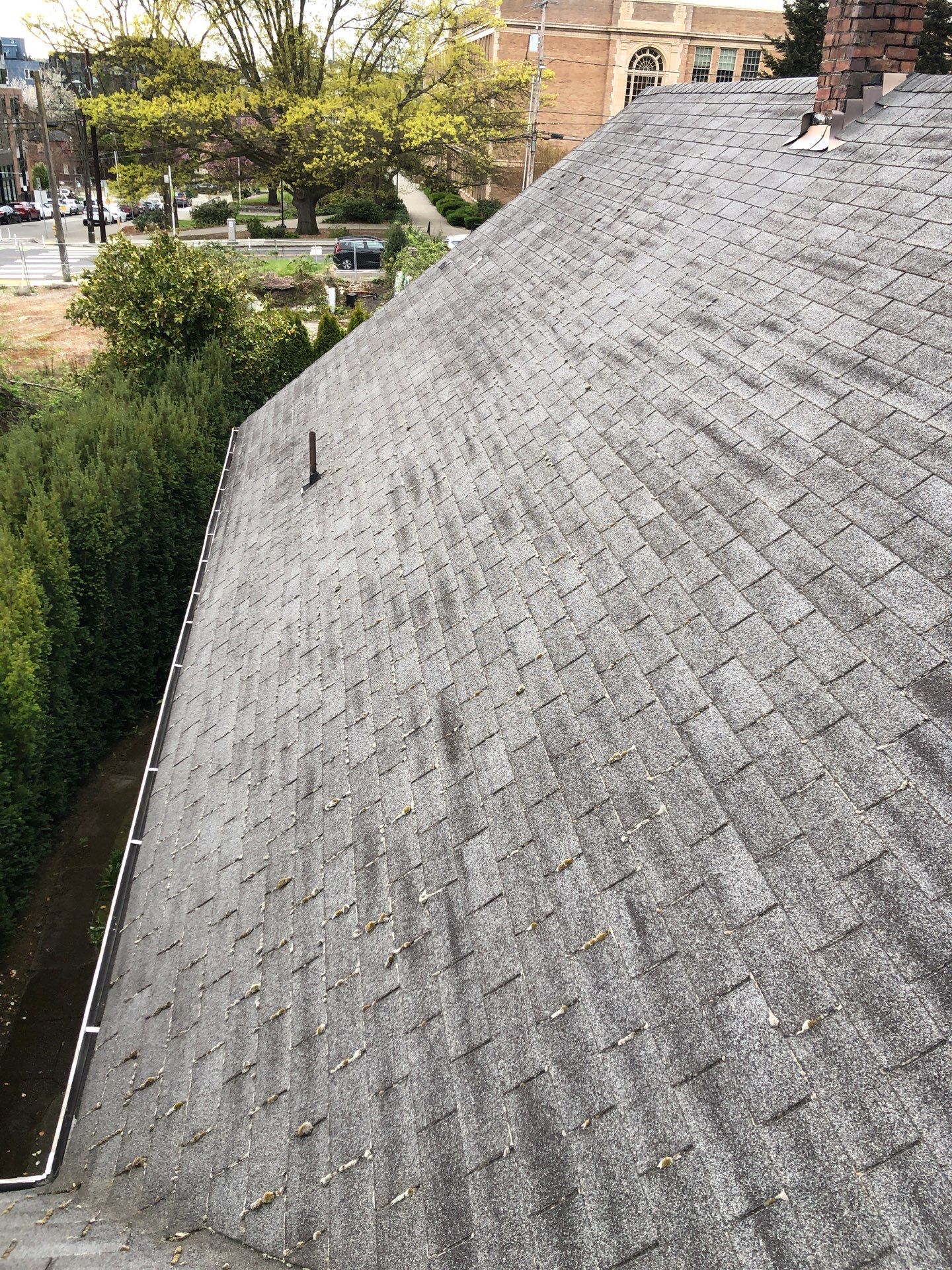 Project in Seattle by Peaks and Valleys Construction