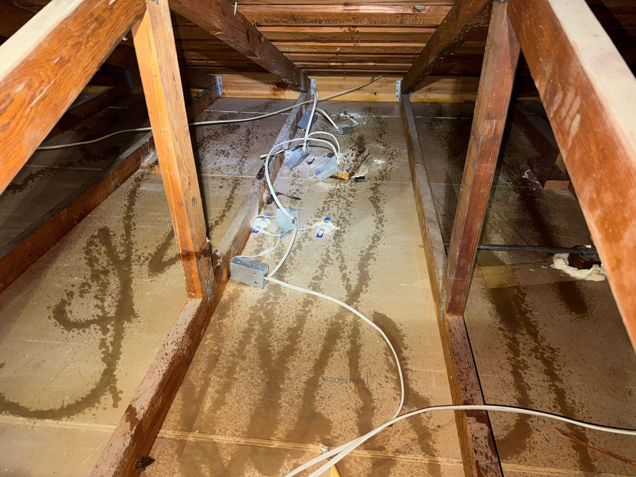 Project by Advanced Attic Solutions by Advanced Attic Solutions