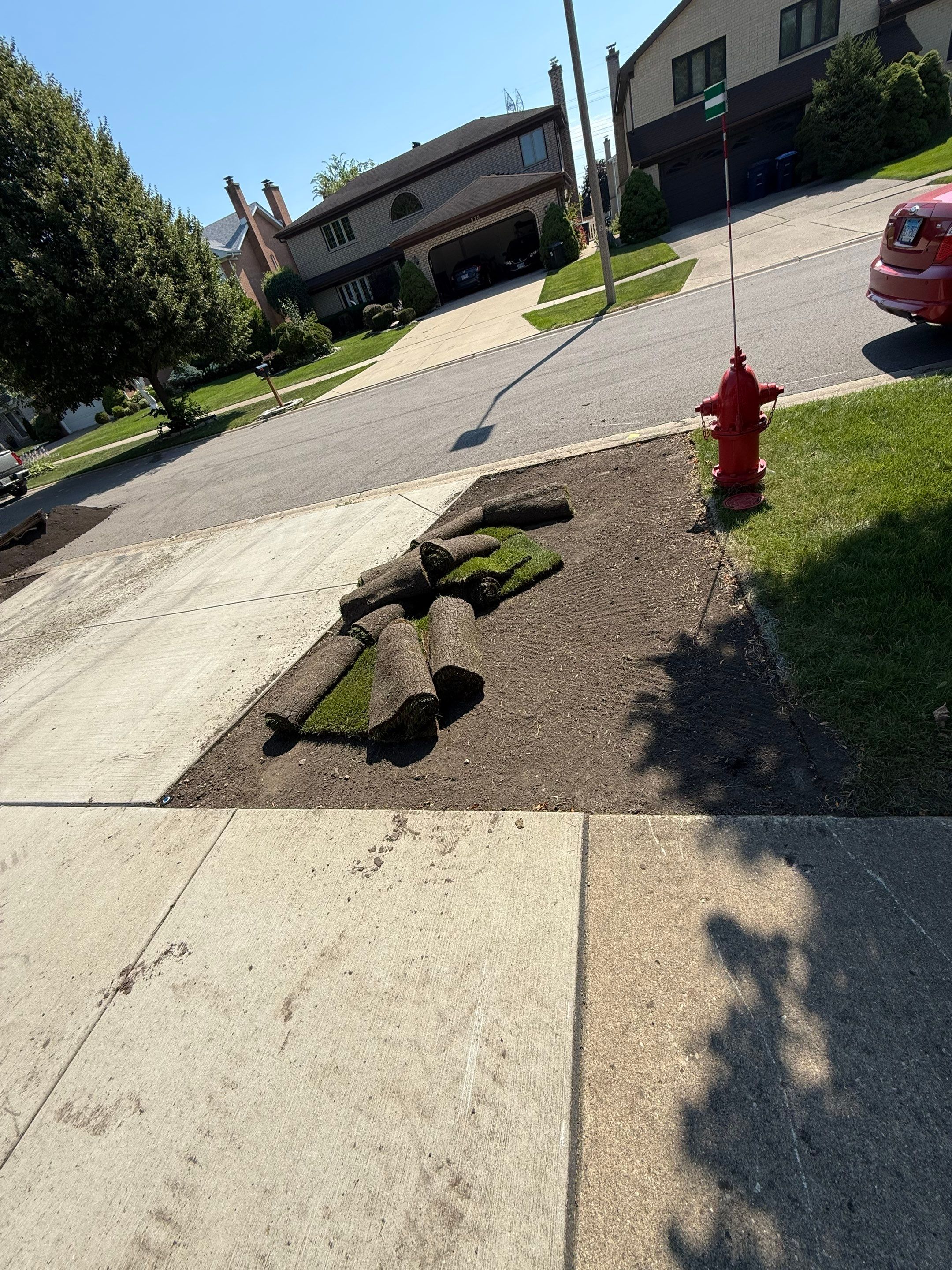 Al P. - Des Plaines, IL by A&N 