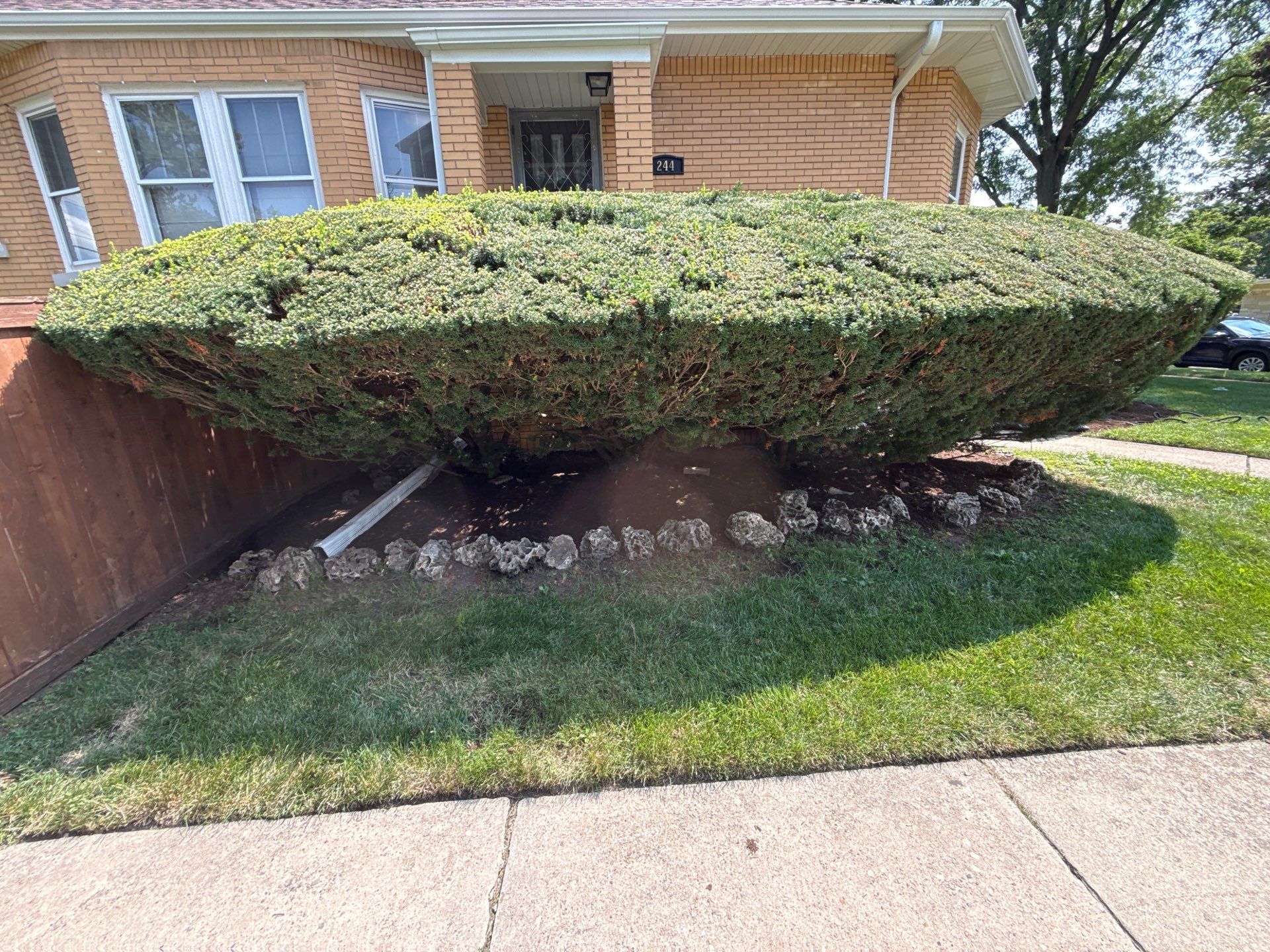 Nancy M. - Park Ridge, IL by A&N