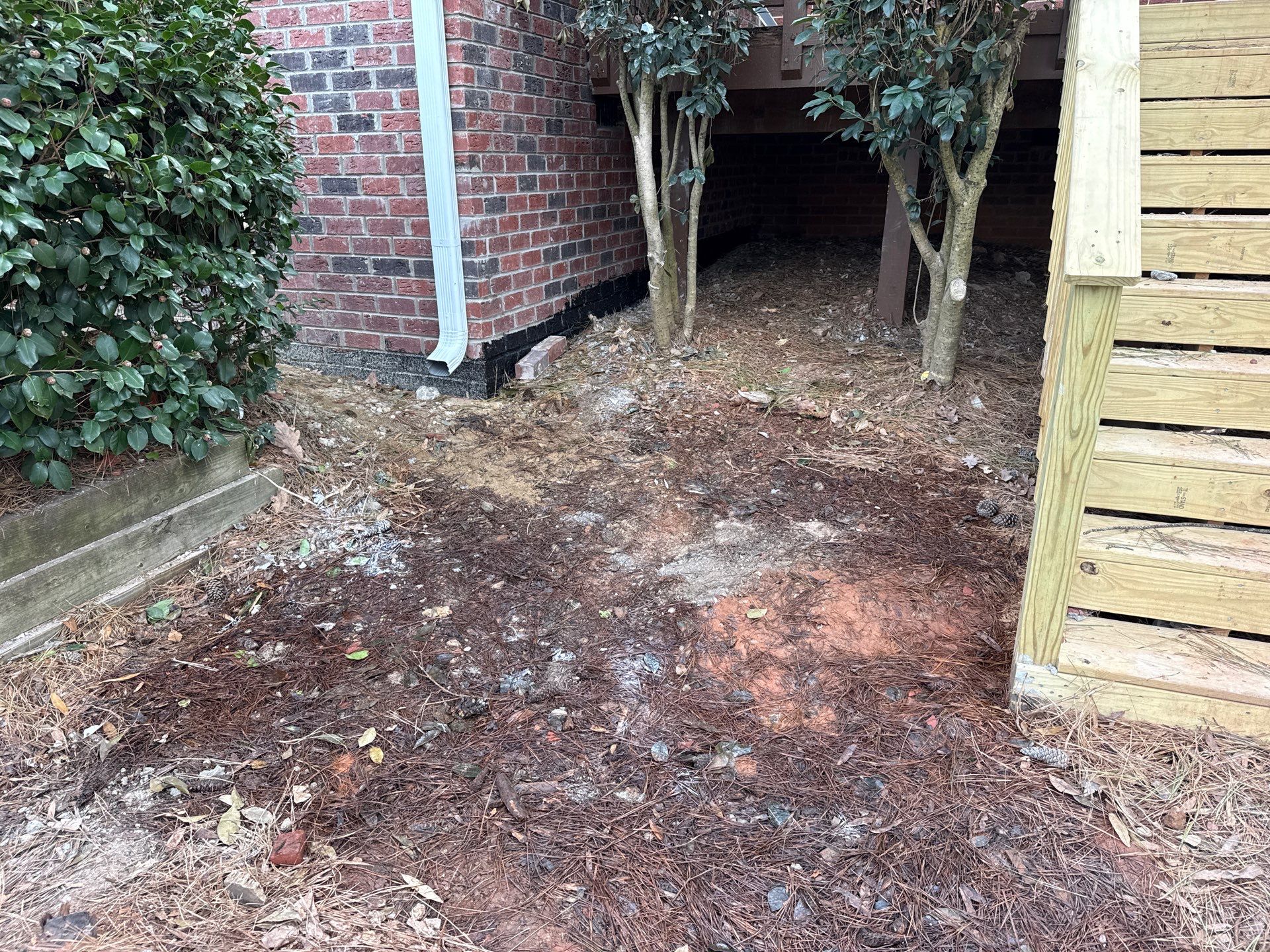 Project in Charlotte by Badger Hauling