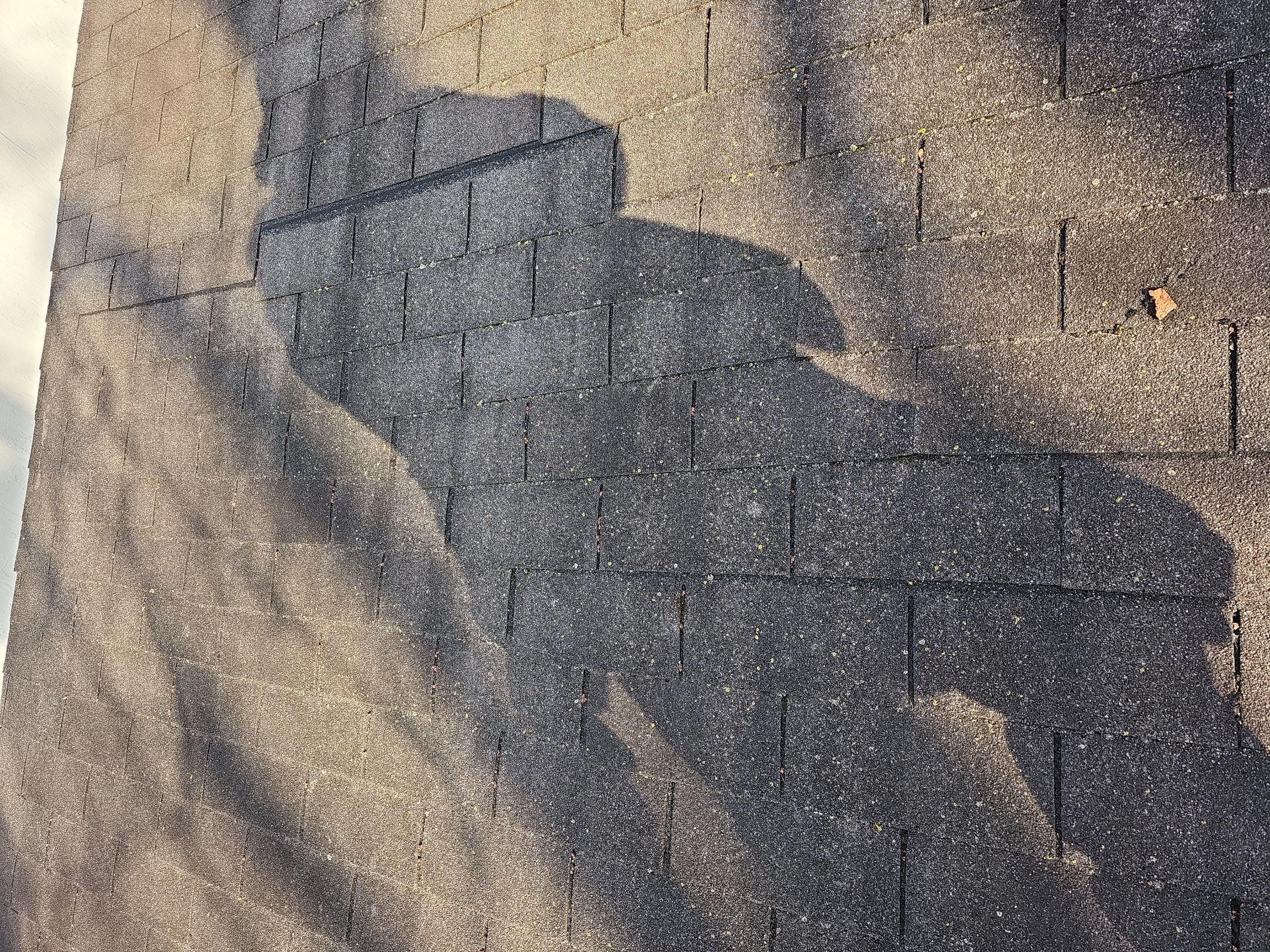 ATLAS PINNACLE HP W/SCOTCHGARD COLOR: SUMMER STORM  by Eagle Eye Roofing