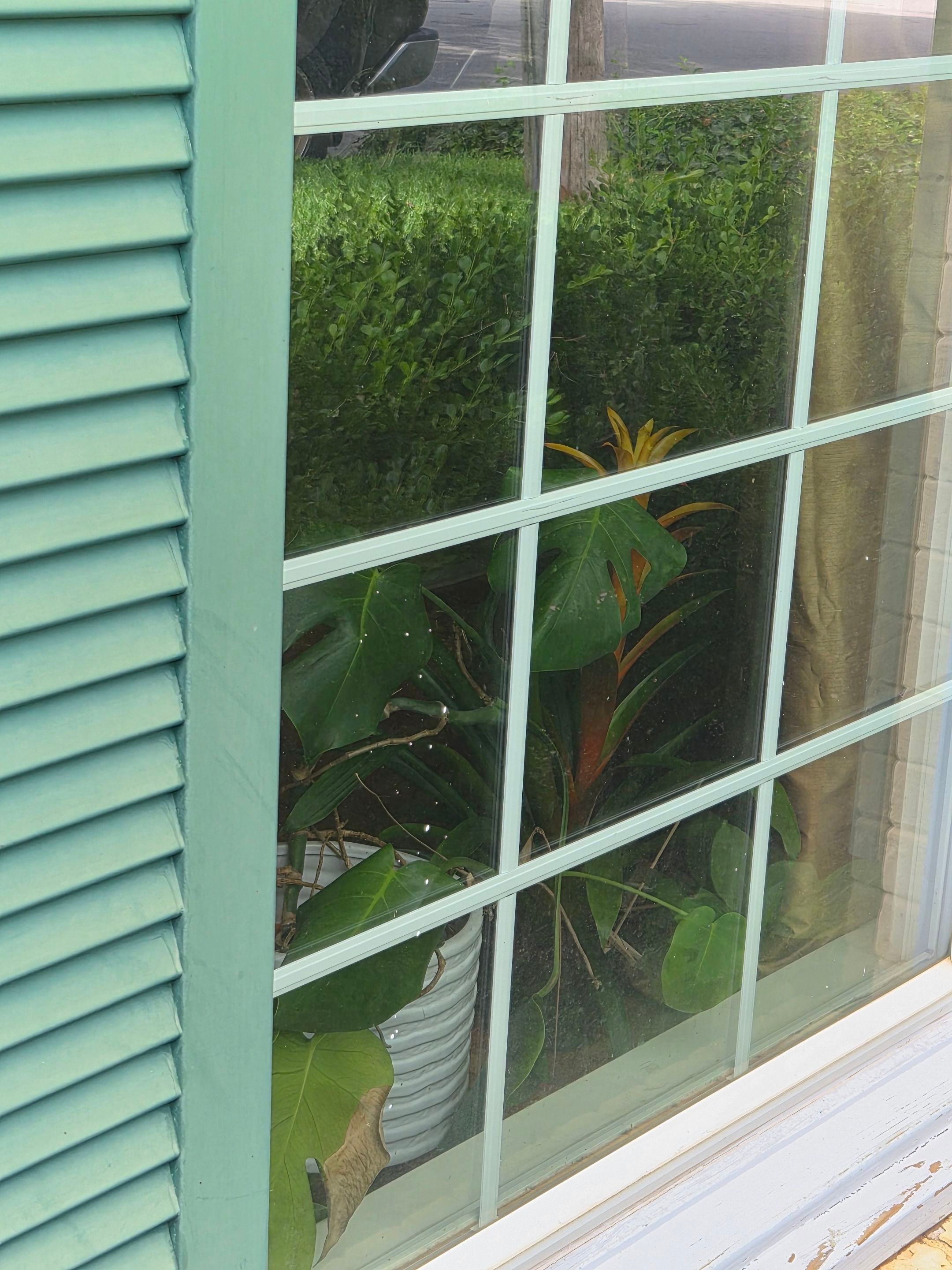 A Historic Tyler Home Gets a Careful Exterior Refresh by Quality Coats Painting