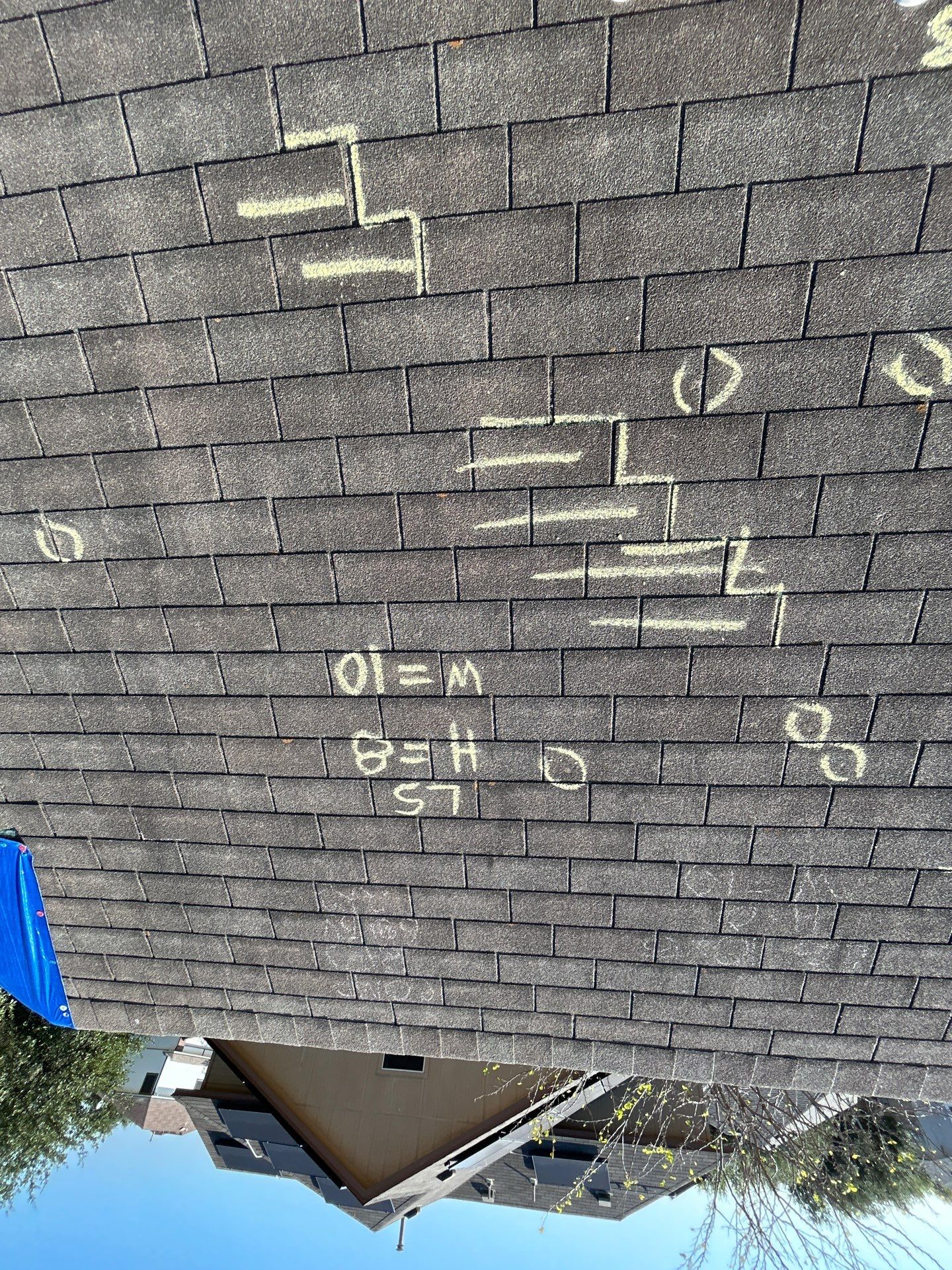 Miss Bridgette by REPS OF TEXAS