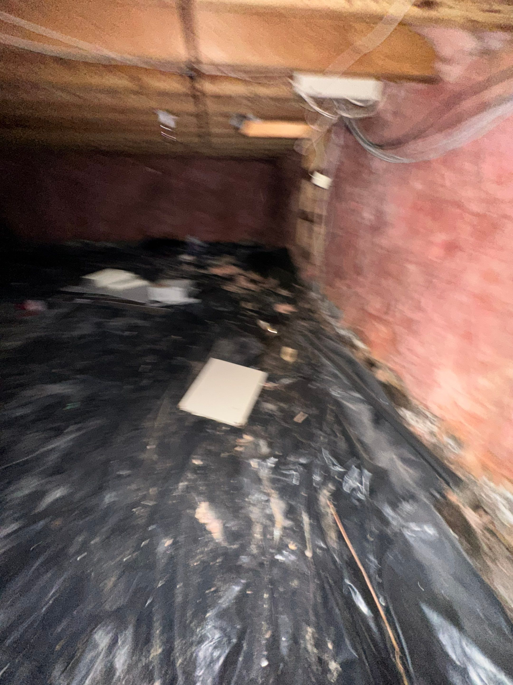 Mold Removal in Brighton, CO by Alpha Restoration 