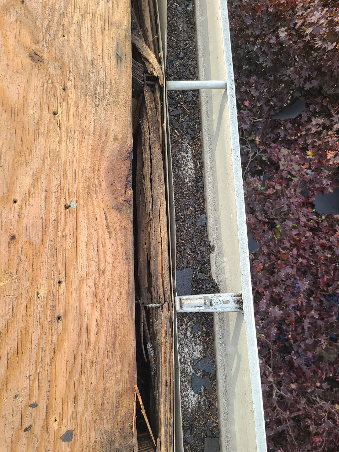 Springfield: Residential Roof Replacement with CertainTeed Landmark Pro in Max Def Burnt Sienna by RM Banning, Inc.