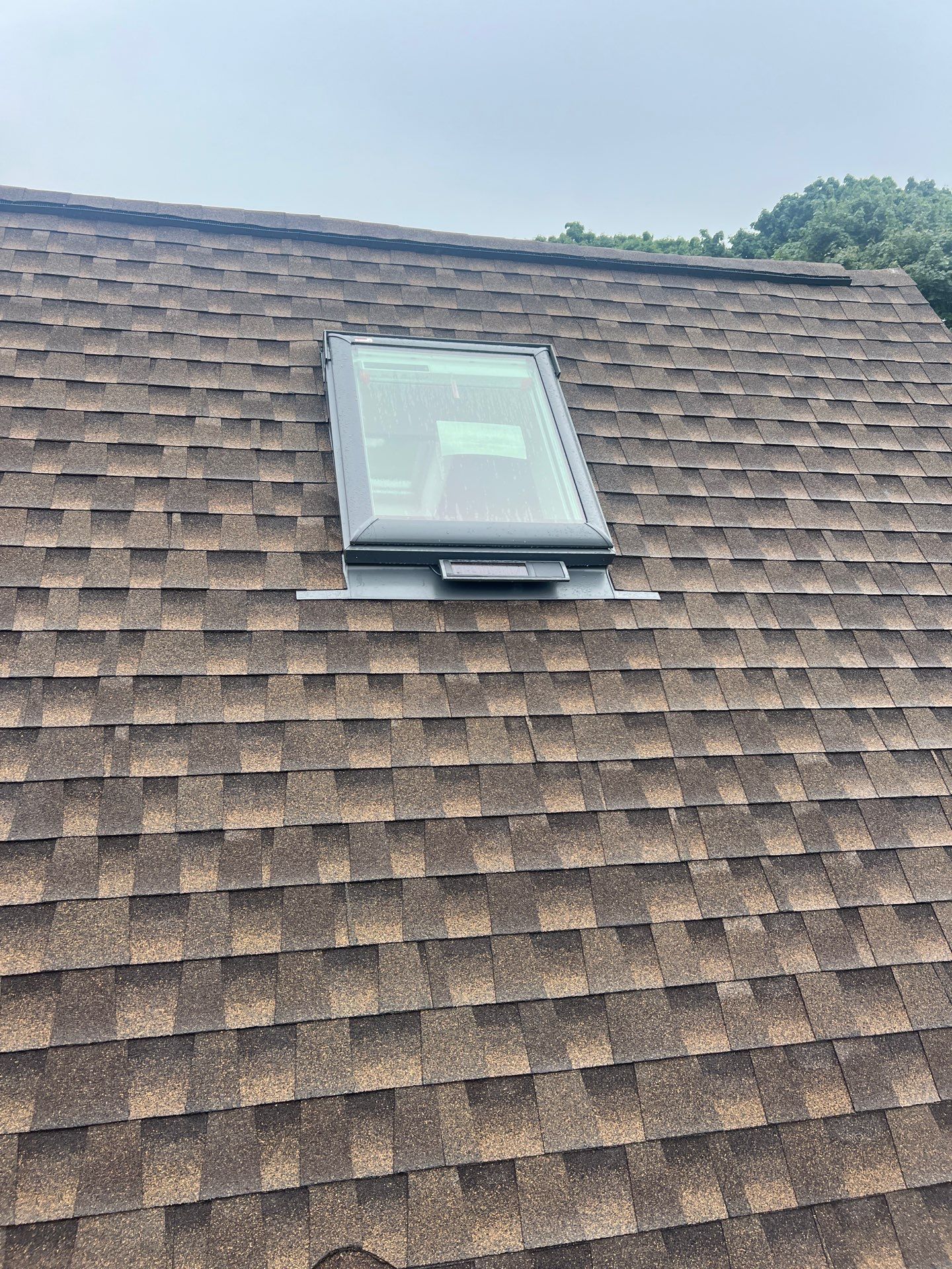 Swampscott, MA Cedar Siding & Asphalt Roofing by Rinaldi Brothers
