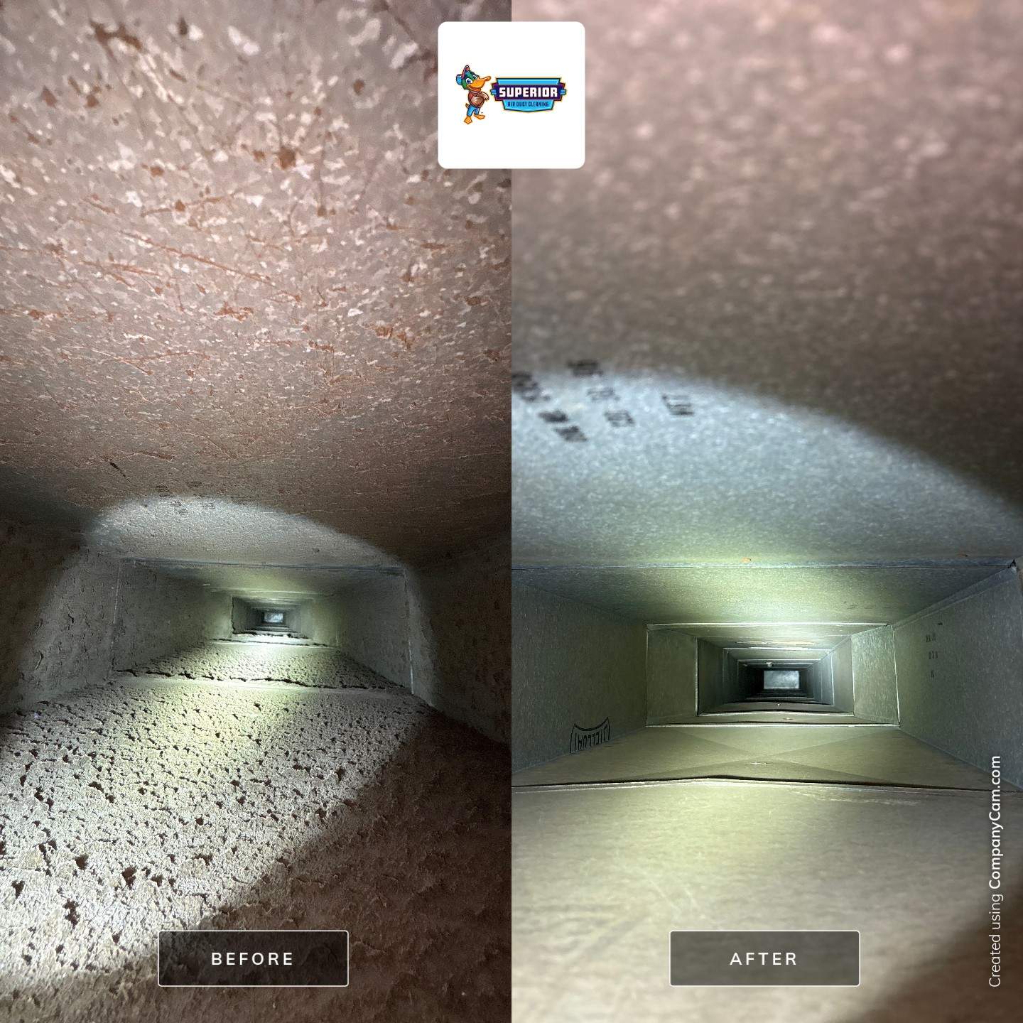 Professional Air Duct and HVAC Component Cleaning in Ellwood City by Superior Air Duct Cleaning