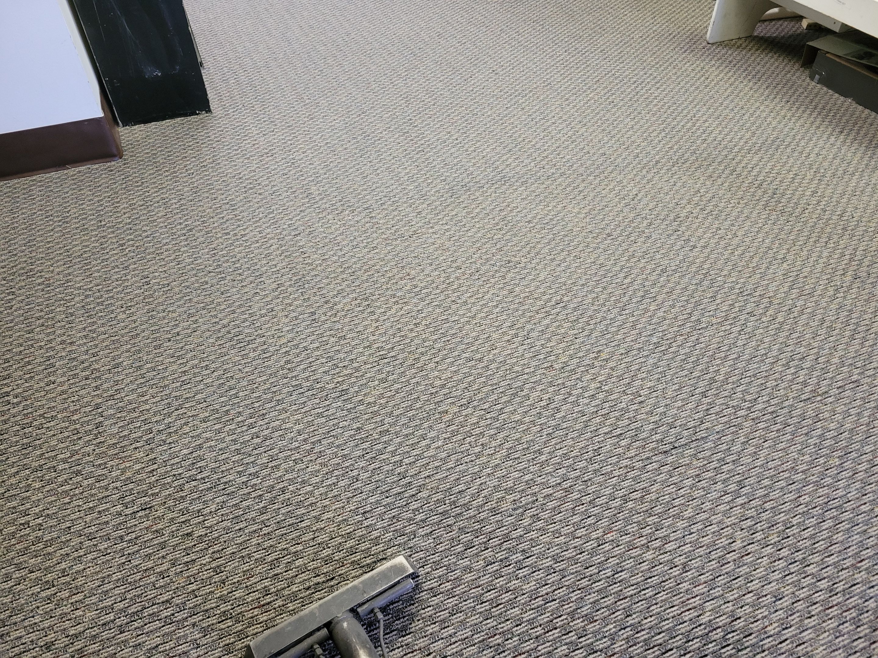 Quarterly Maintenance Carpet Cleaning by Ardent Carpet Restore LLC
