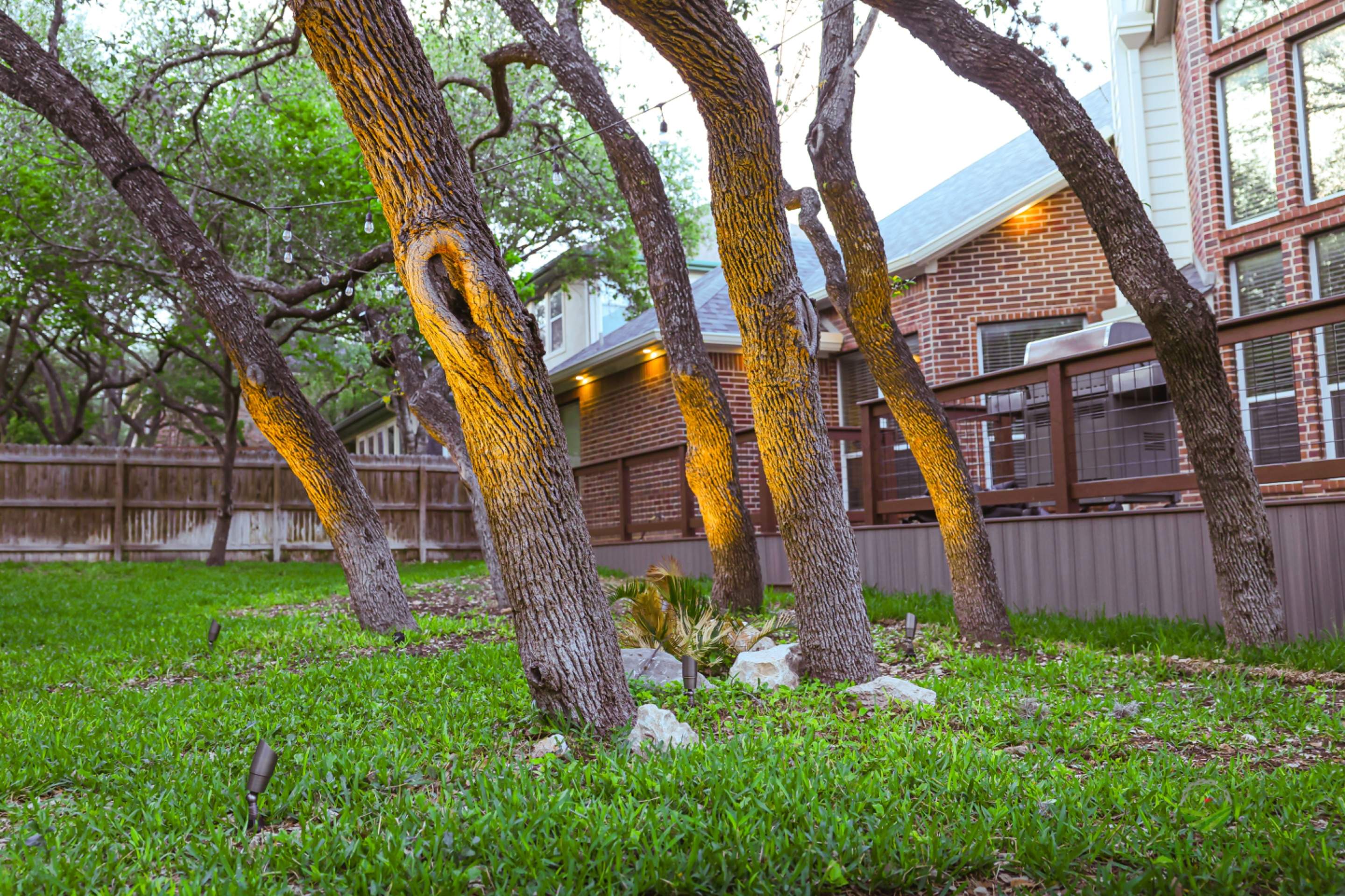 Iron Mountain Ranch, San Antonio TX by Hole In One Lawns, LLC