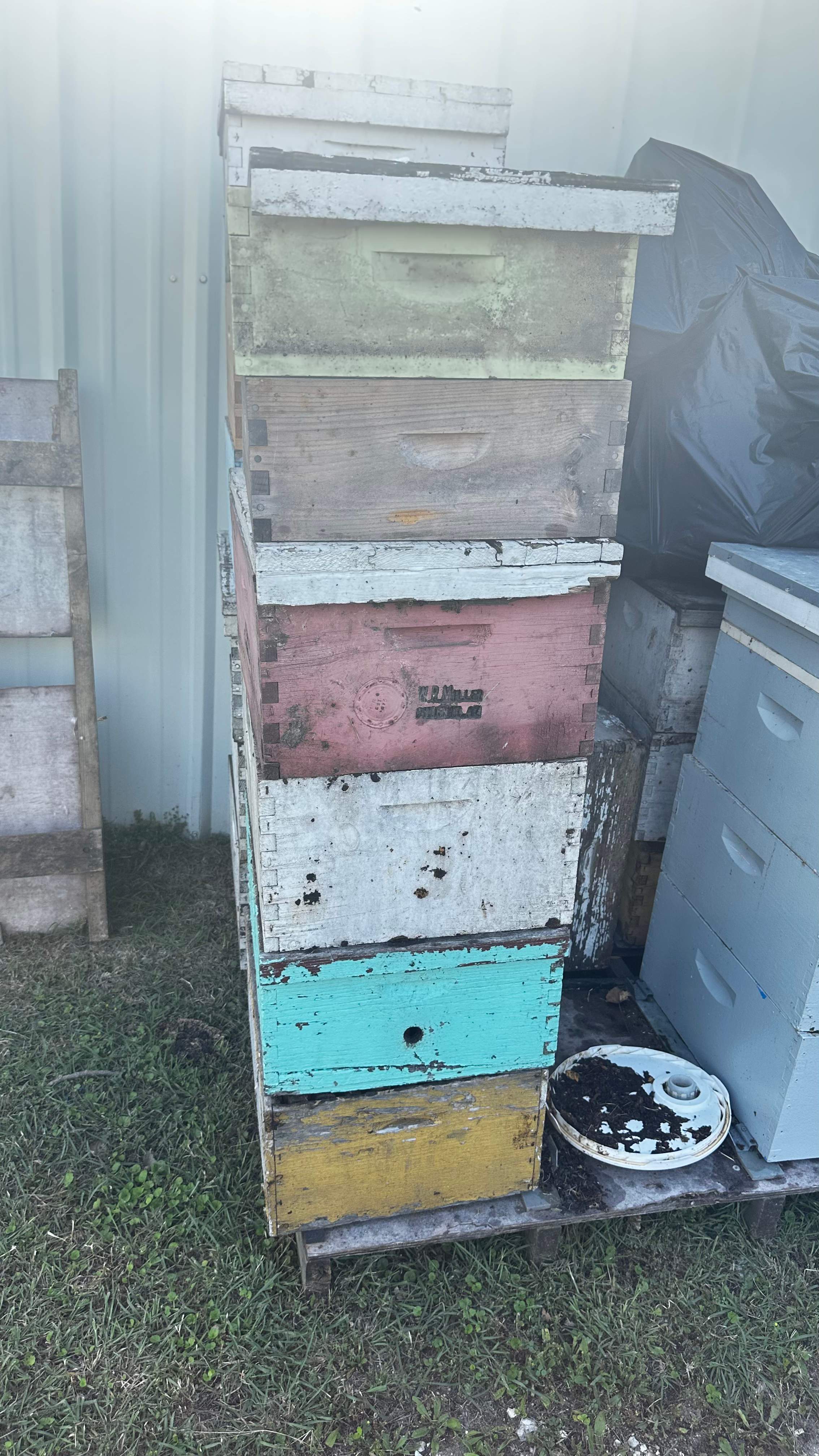 Rockwall Honey Bee Company HQ by Rockwall Honey Bee Company