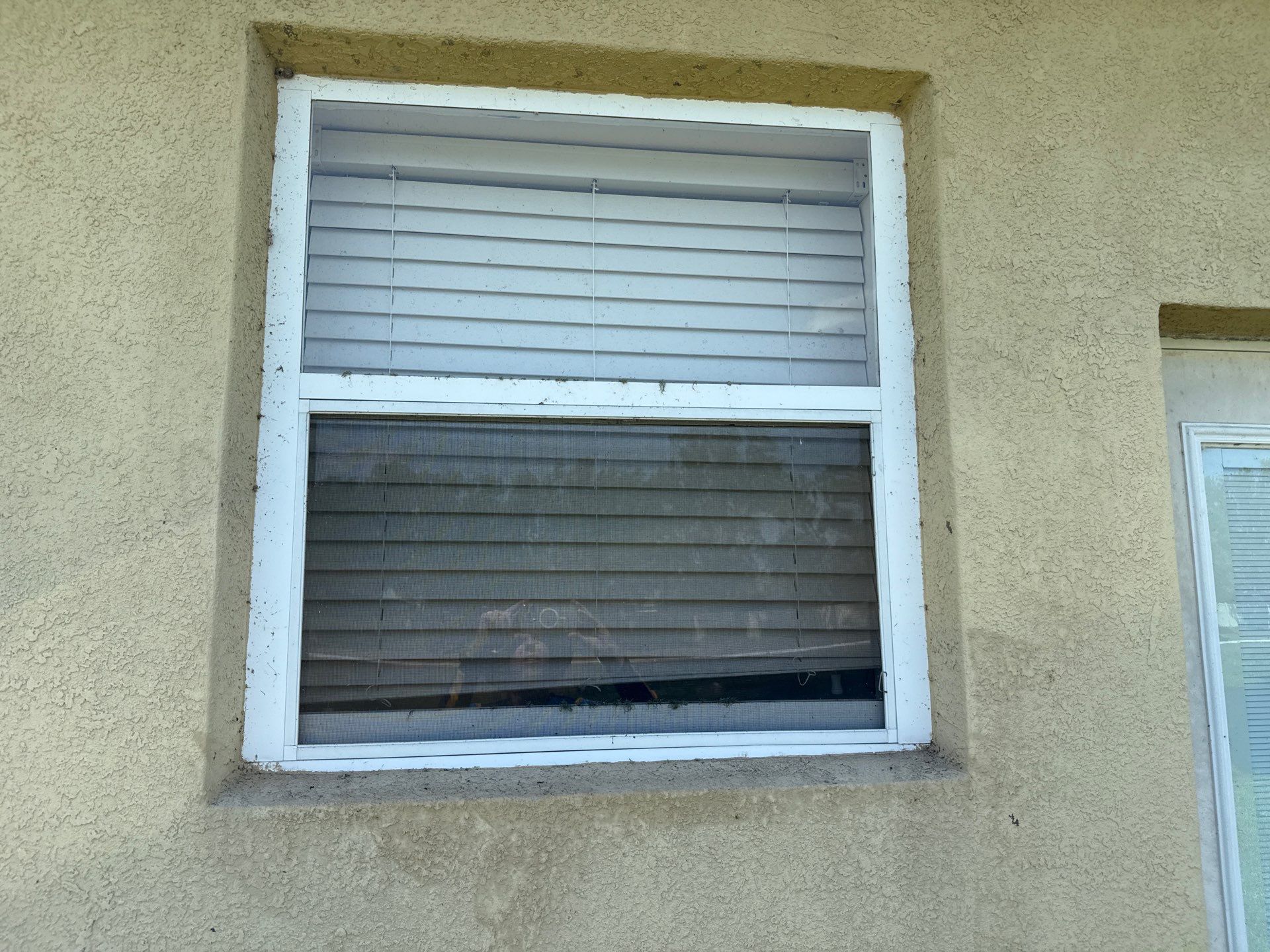 Driveway & Rear Wall Soft Wash | Lexington Community | Parrish, FL | Sunshine AquaWash by Sunshine AquaWash