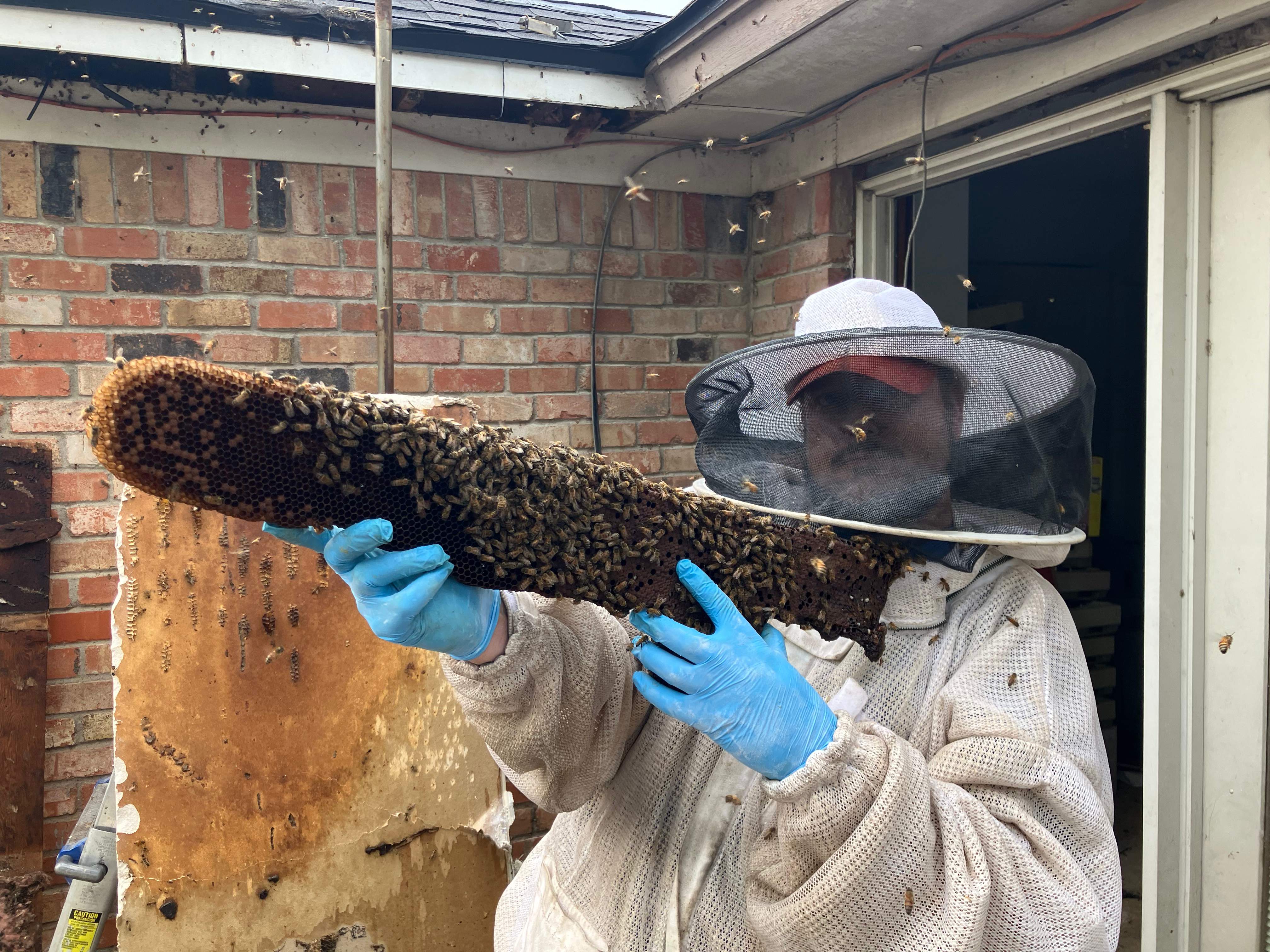 Improper Repair by Rockwall Honey Bee Company