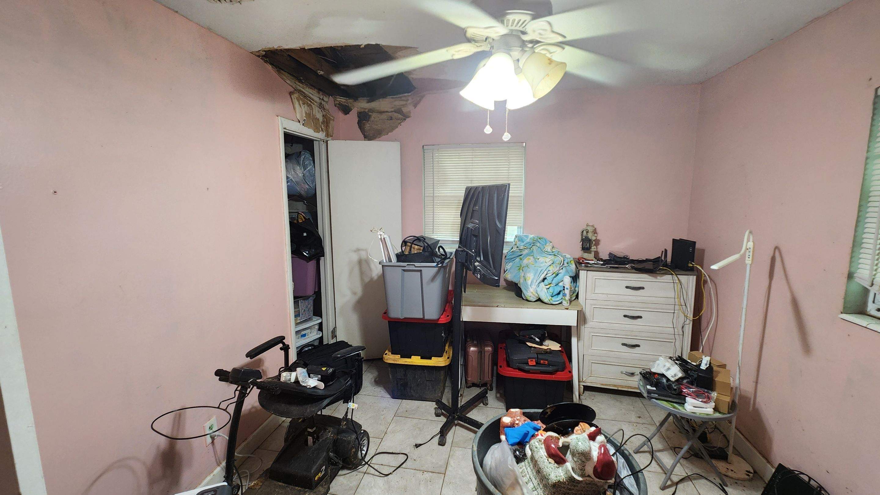 Tree Damage Claim in Orlando by FLAPA & KeyStone