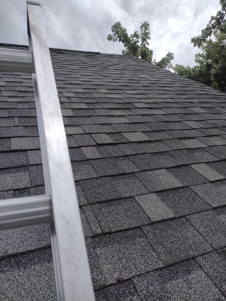 Debbie Wyant by Silver Leaf Contracting 