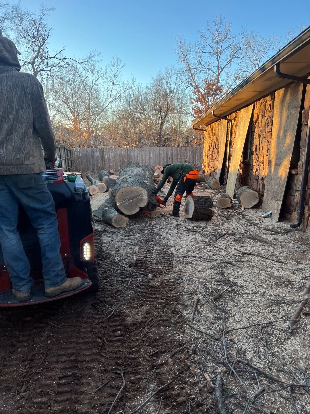 Large Oak Removal by Clays Services Inc