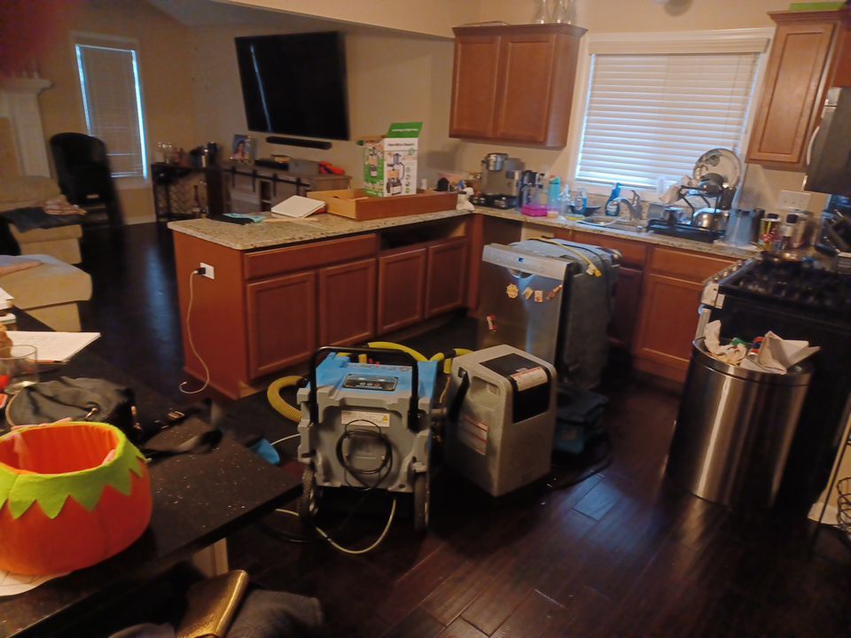 Project in Sterling Heights by EzDry Water Mitigation & Property Restoration