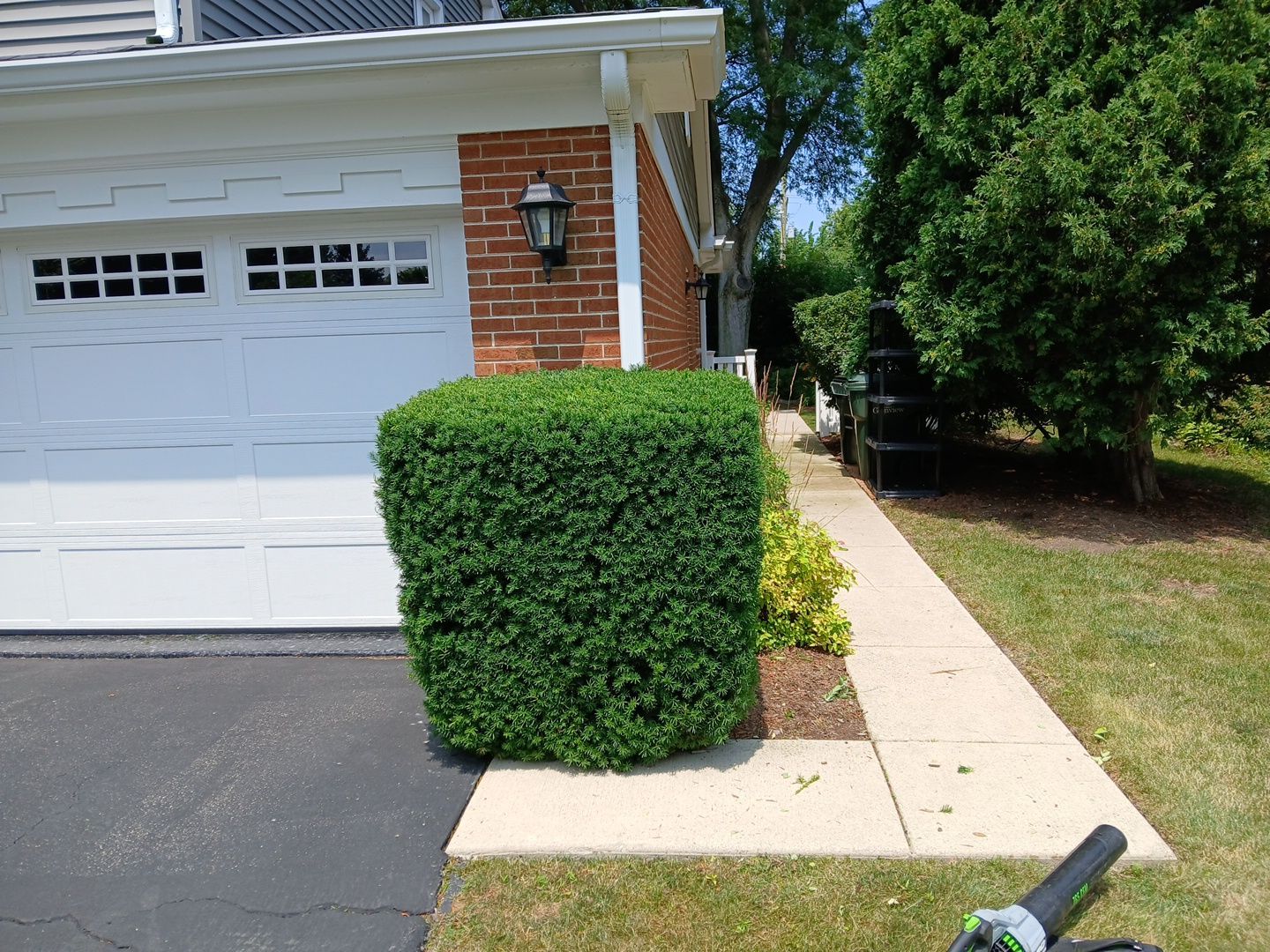 Michael I. - Glenview, IL by A&N 