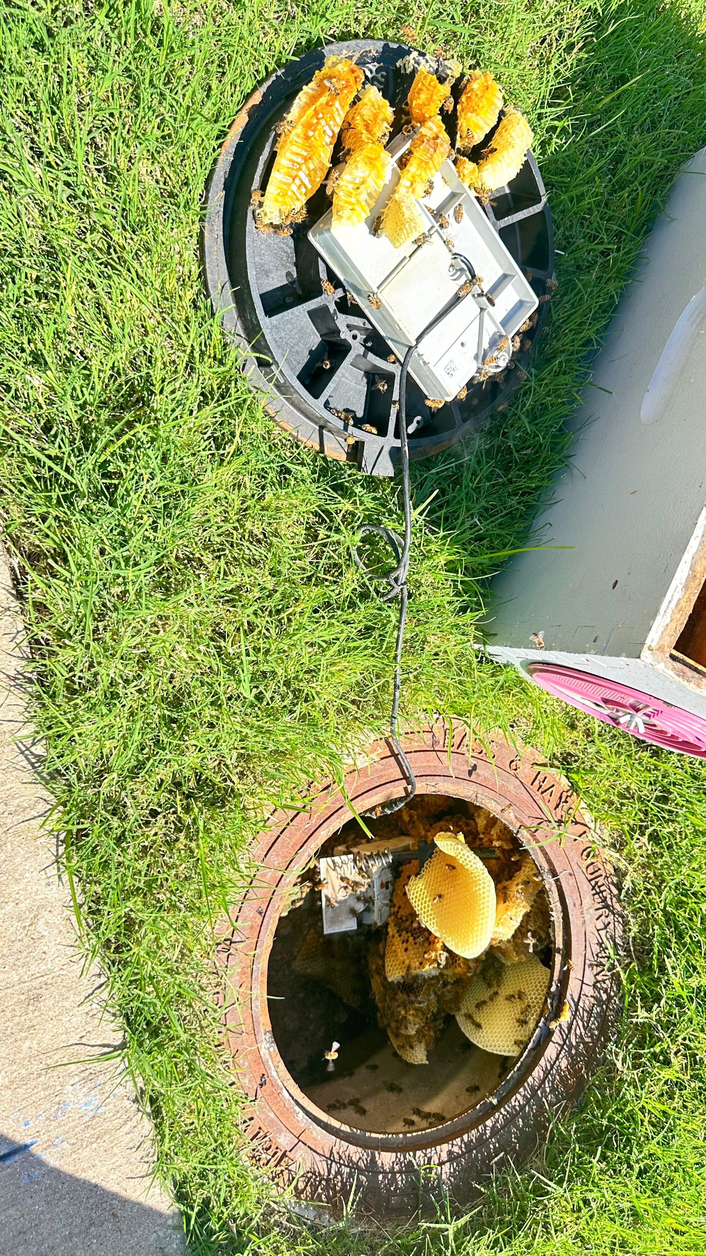 Water Meter by Rockwall Honey Bee Company