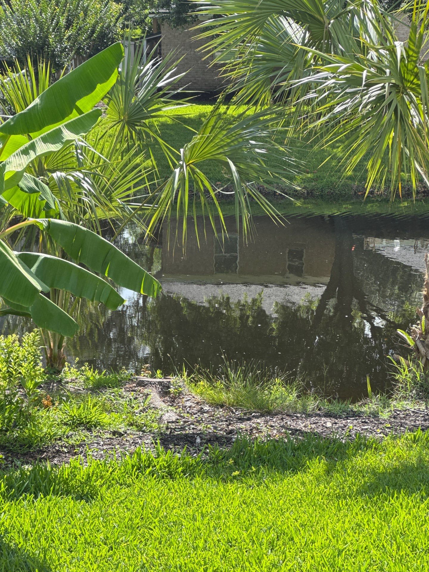 Deerwood Resident | Sod & Plant Install by ProGreen Services