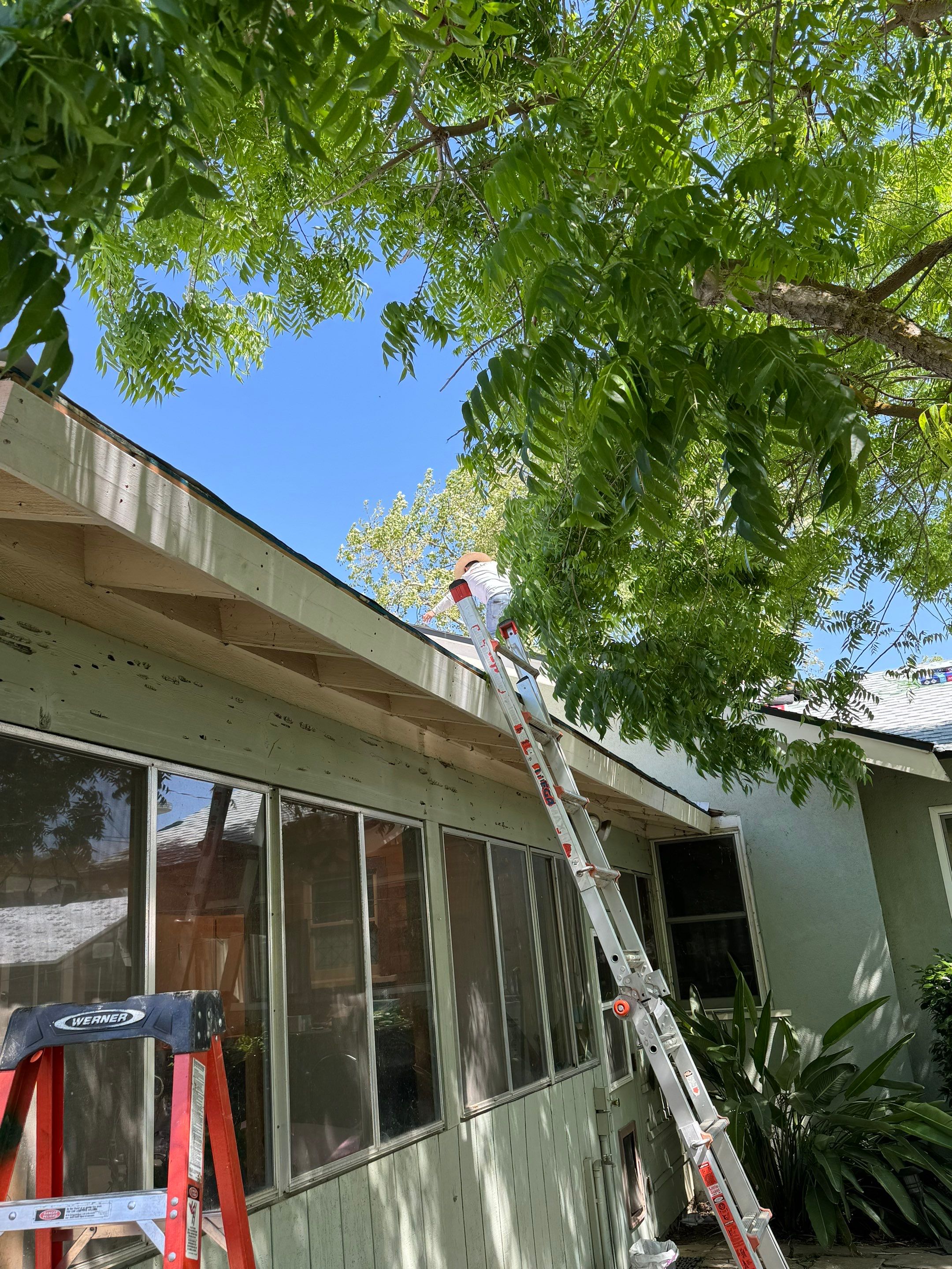 GAF Timberline HDZ-RS shingle project by Straight Edge Roofing Inc