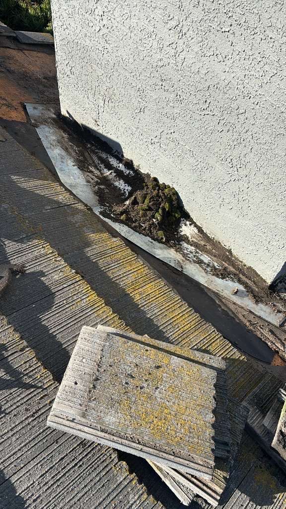 Project in Elk Grove  by NuLead Construction Inc