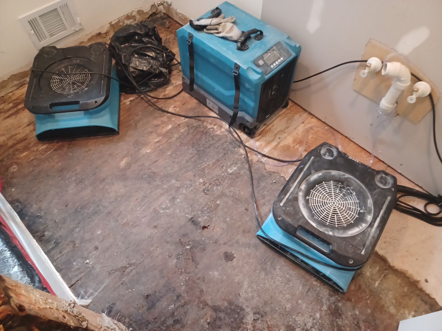 Project in Livonia by EzDry Water Mitigation & Property Restoration