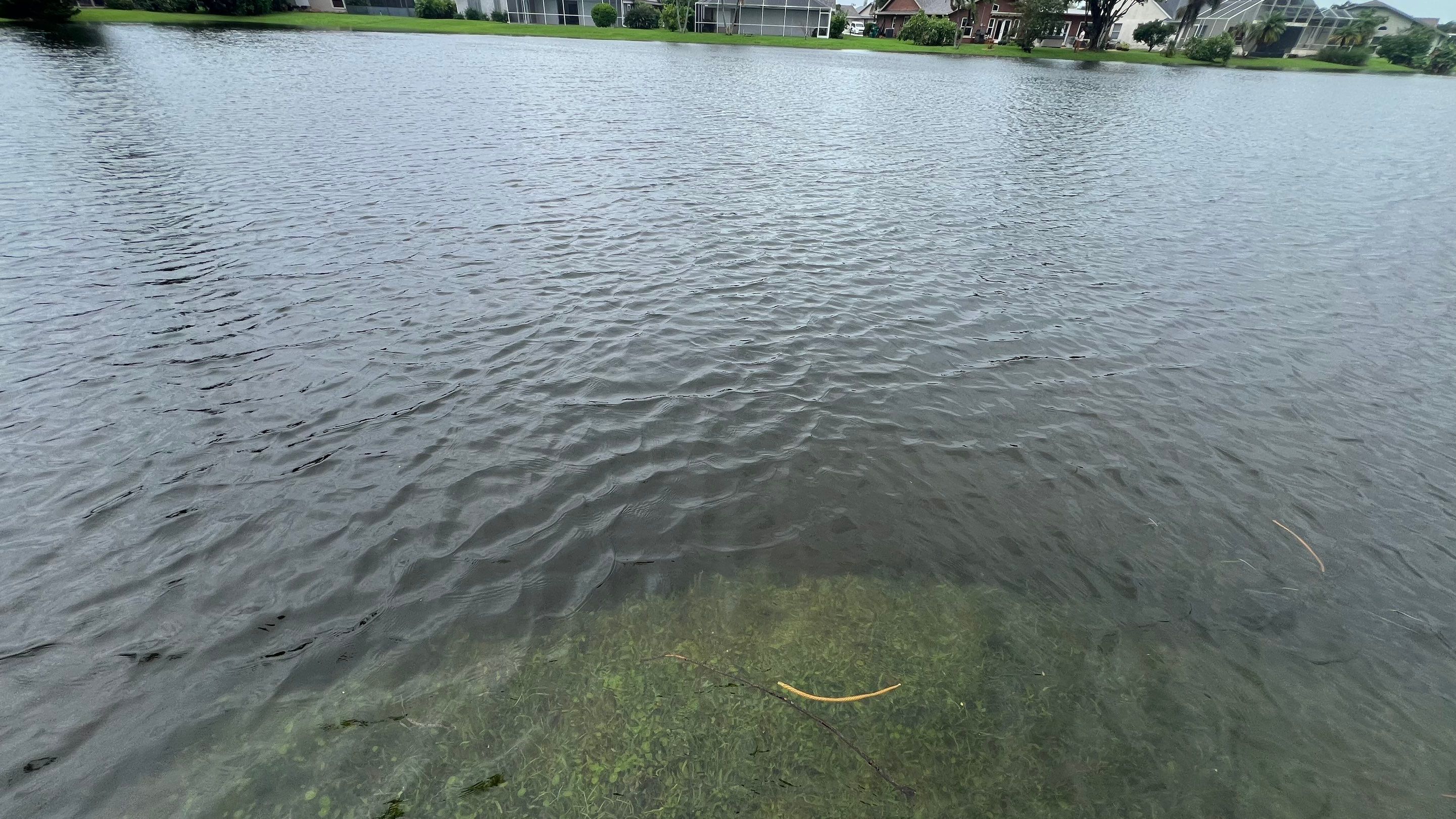 Naples Community Stormwater Blockage by APS Power & Water