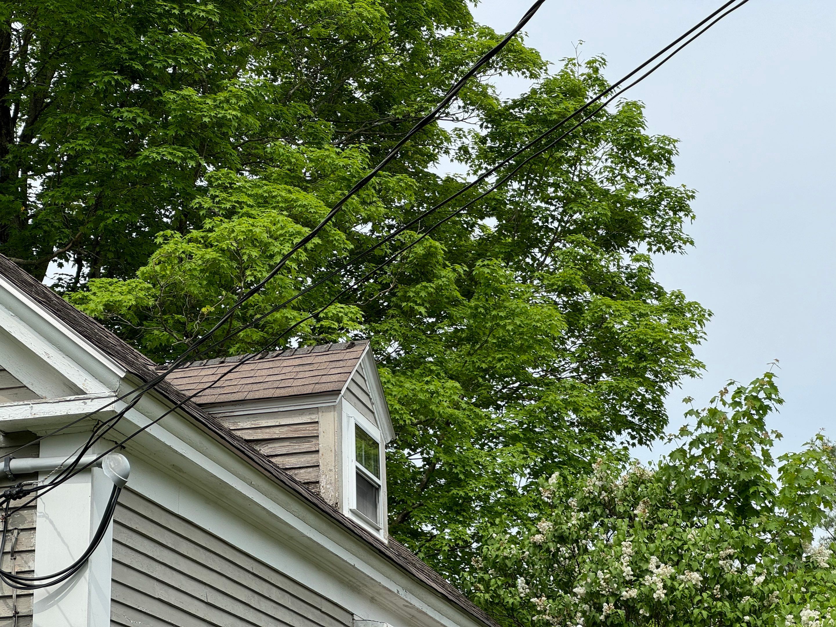 Complete Roof Replacement & Stunning Front Dormer Overhaul! by Sensible Home Solutions