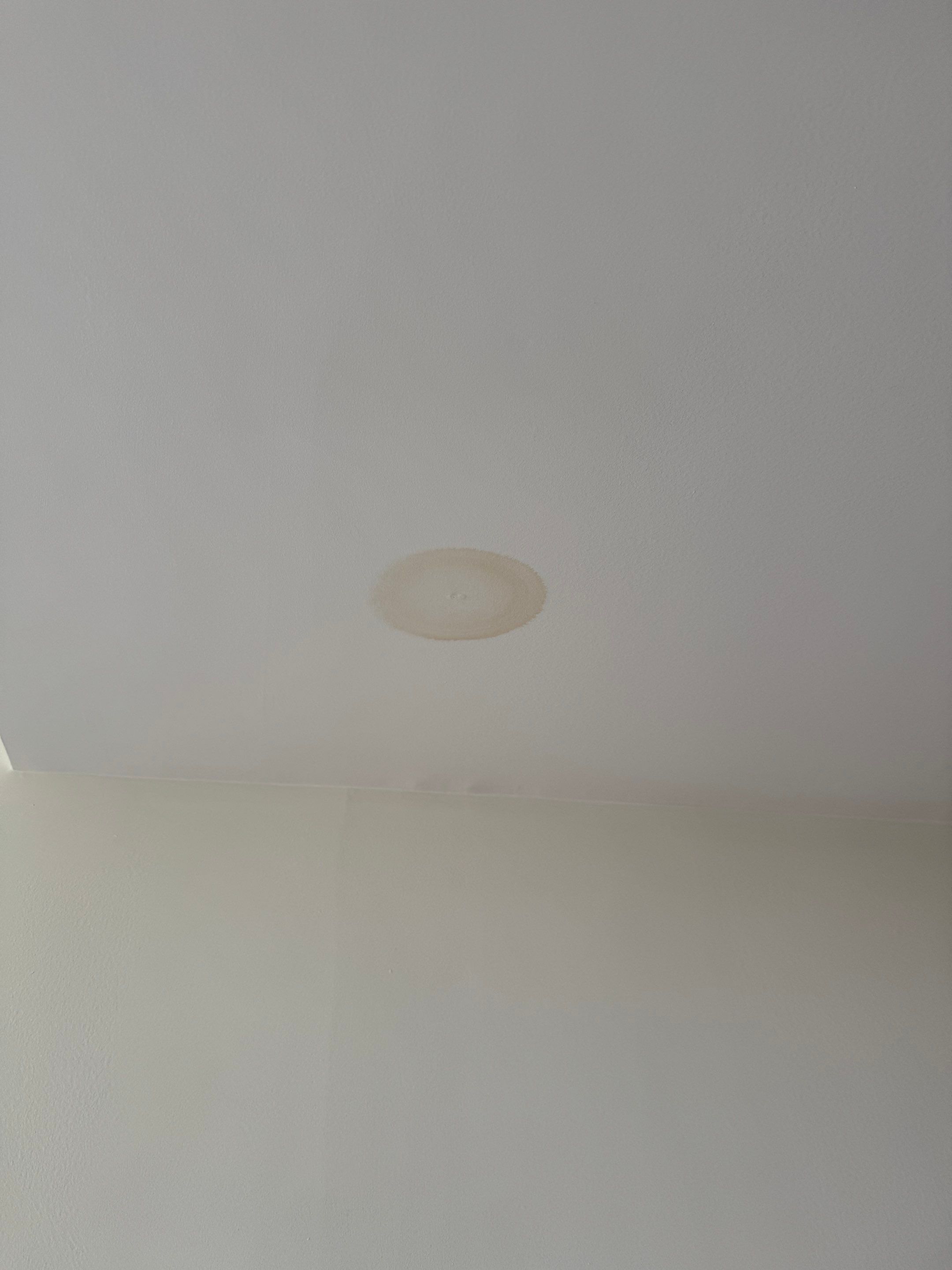 Ceiling Repair by YVR Construction Group