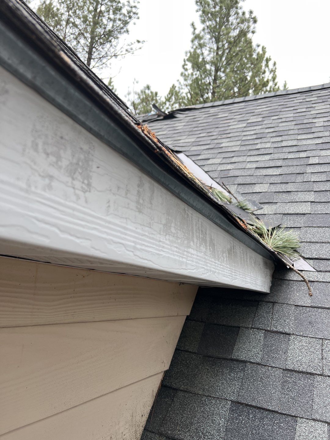 Green Snap Lock Standing Seam  by Montana Roofing Solutions