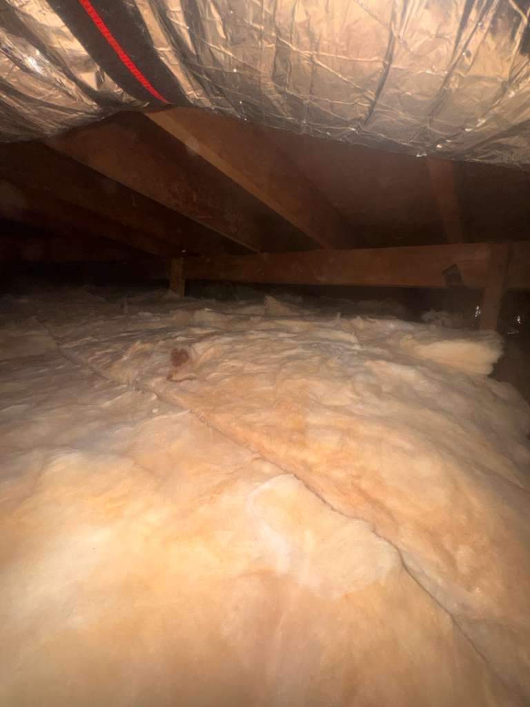 Project by Advanced Attic Solutions by Advanced Attic Solutions